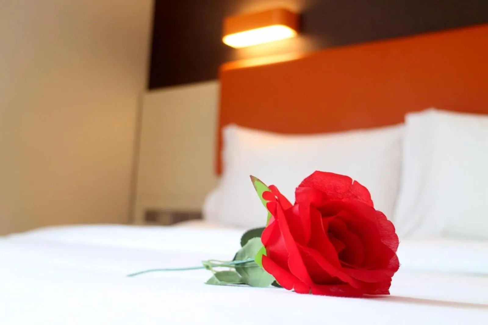 Bed in 7 Days Premium Jiaozuo Renmin Road Teachers College