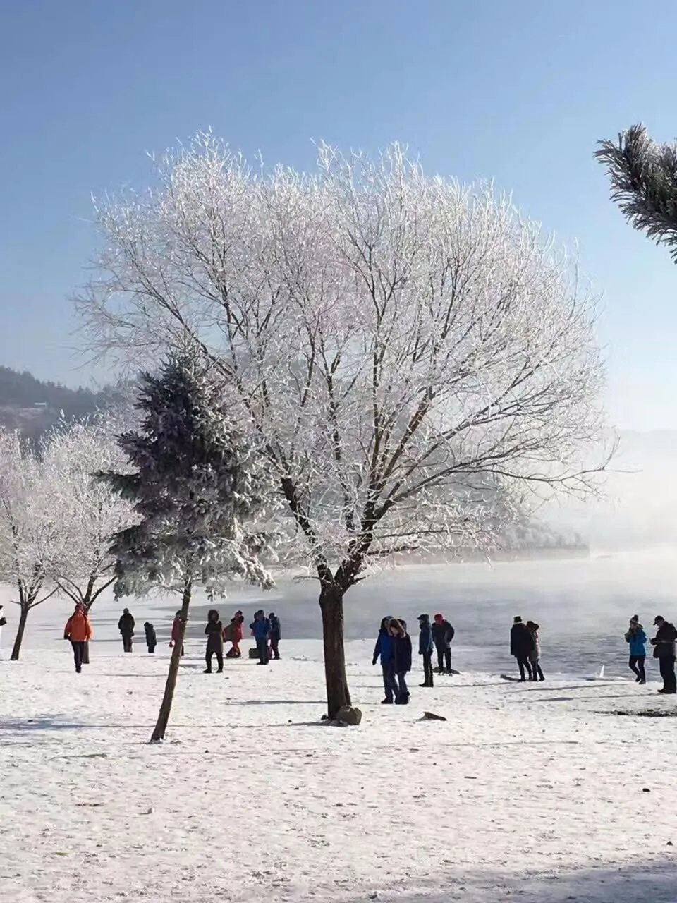 Lavande Hotel Jilin Songjiang Road Jiangwan Bridge Branch