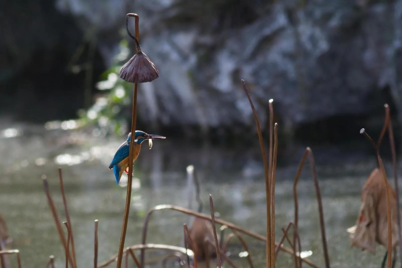 Lavande Hotel Taizhou Railway Station Zhongjia Branch