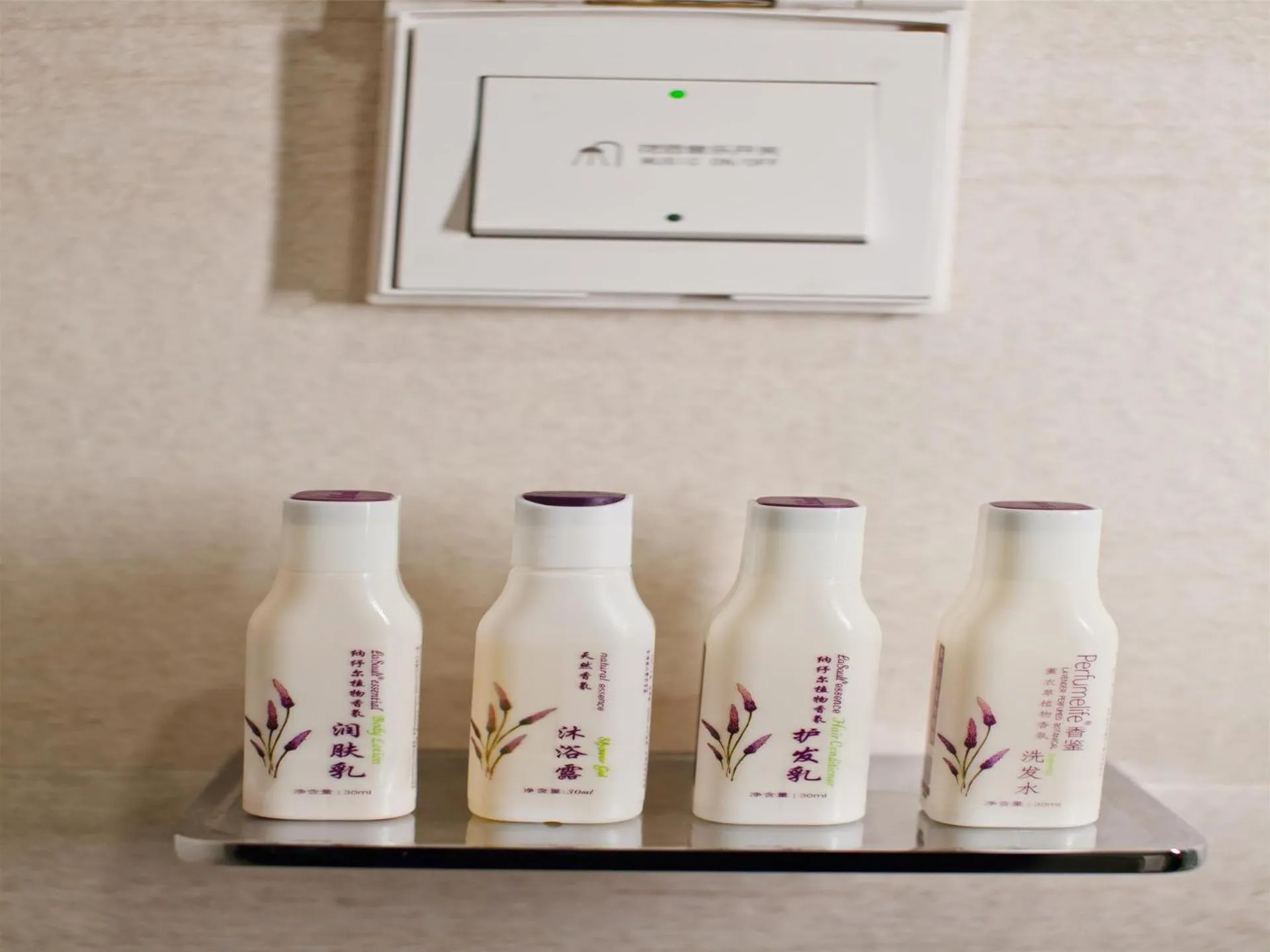 Lavande Hotel (Changsha Railway Station Chaoyang Metro Station Branch)