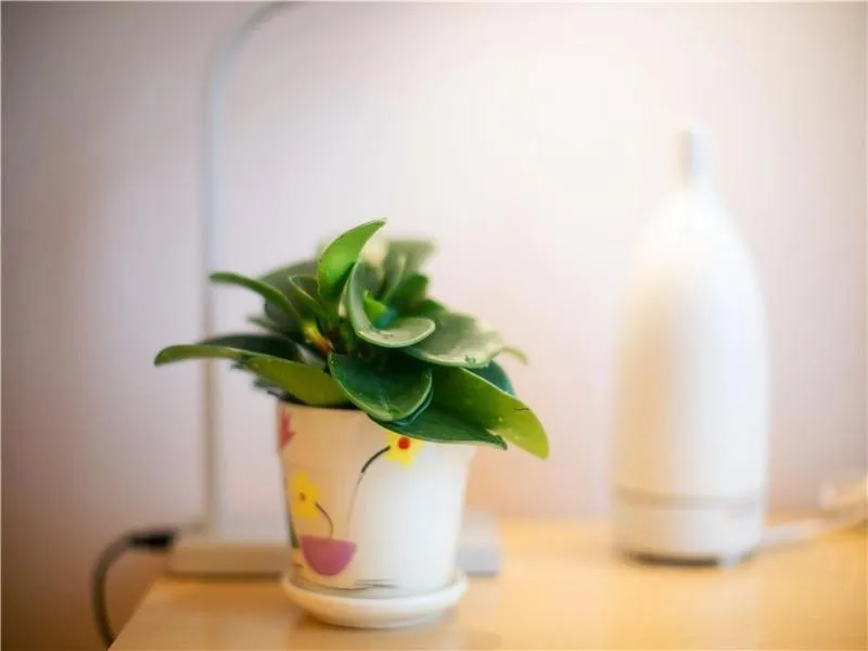 Lavande Hotel (Nanchang West Railway Station Square Branch)