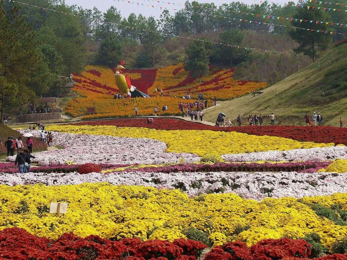 Lavande Hotel(Macheng High-speed Station Branch) Lavande Hotel(Macheng High-speed Station Branch)