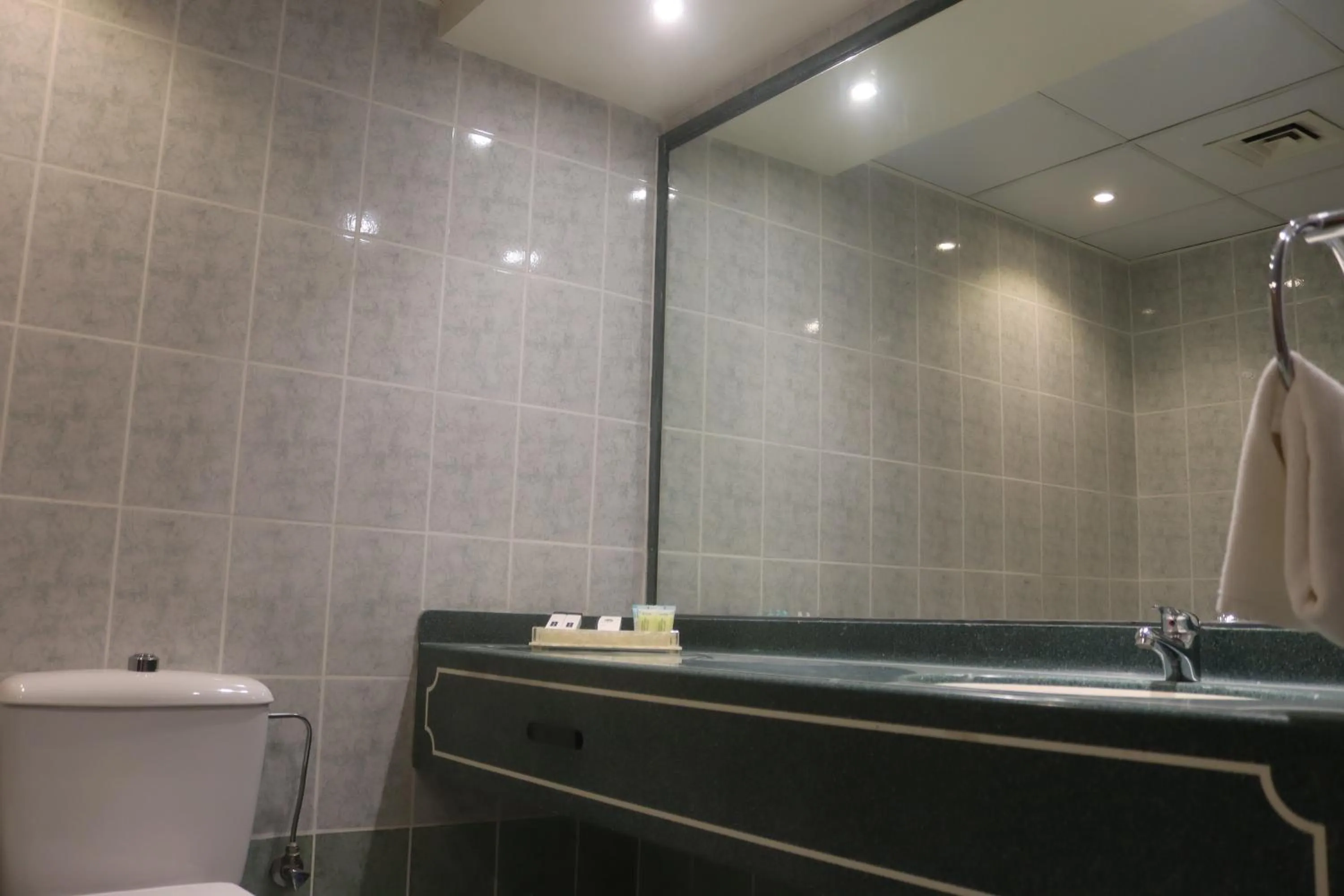 GSS Avenue Hotel Ex Delmon Hotel