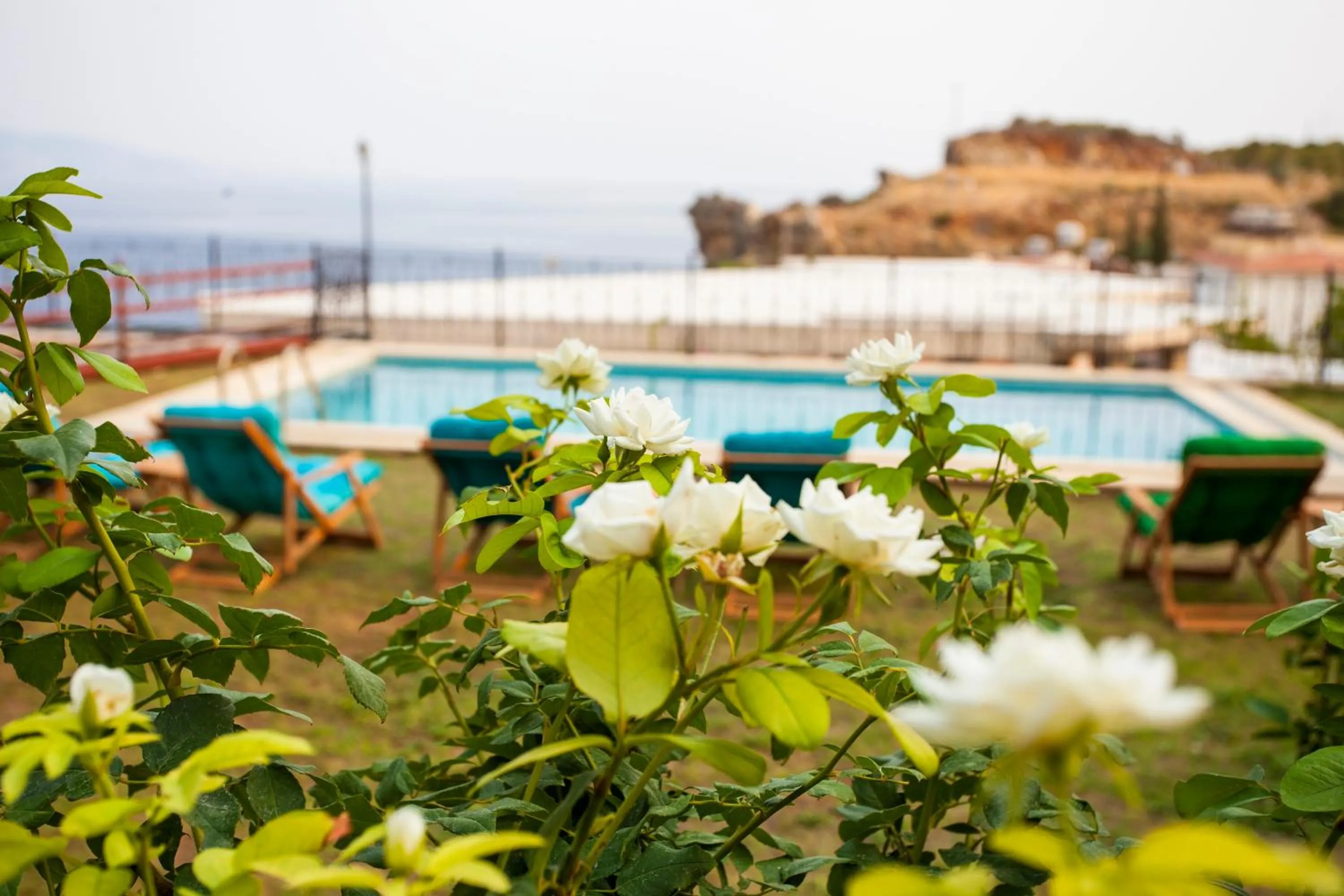 Garden in Datca Villa Carla Hotel