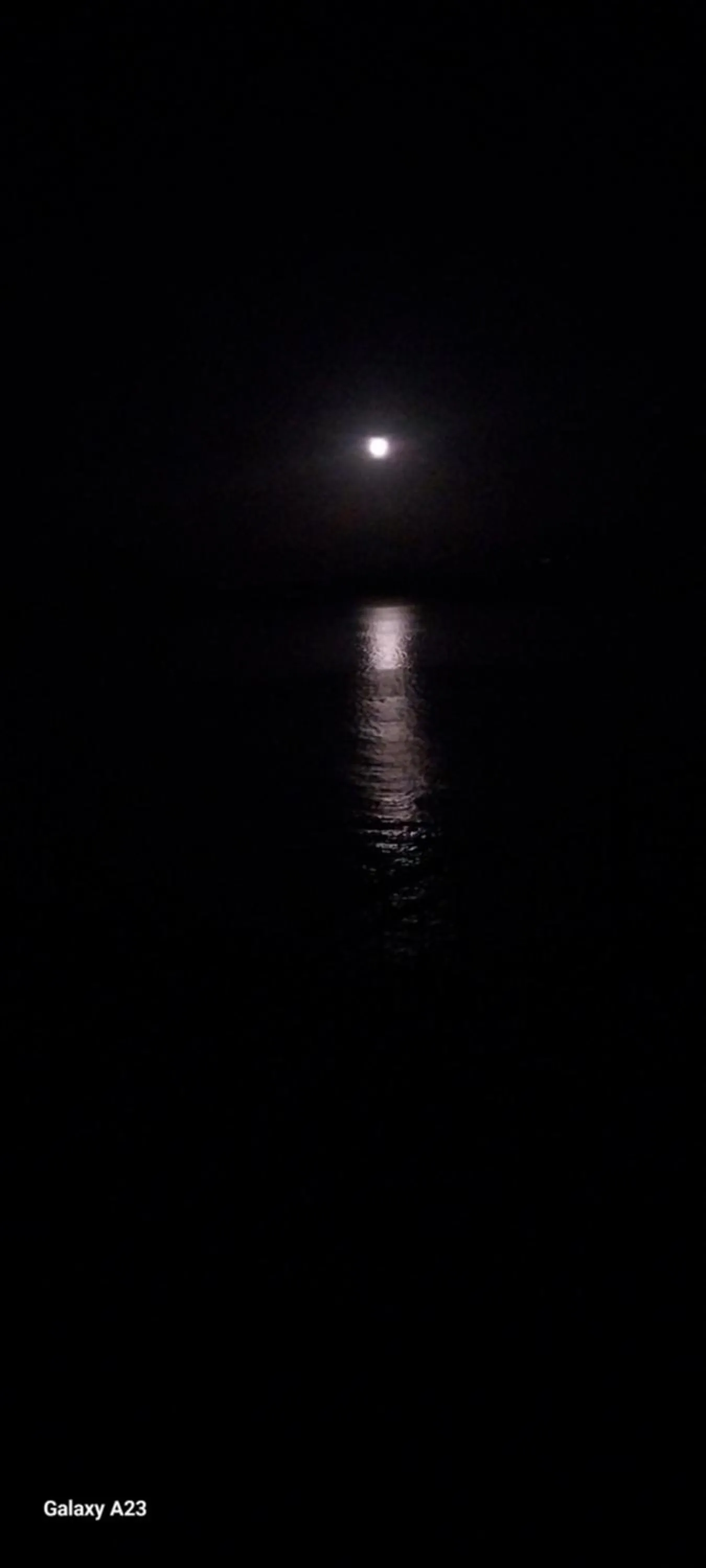 View (from property/room) in Datca Villa Carla Hotel