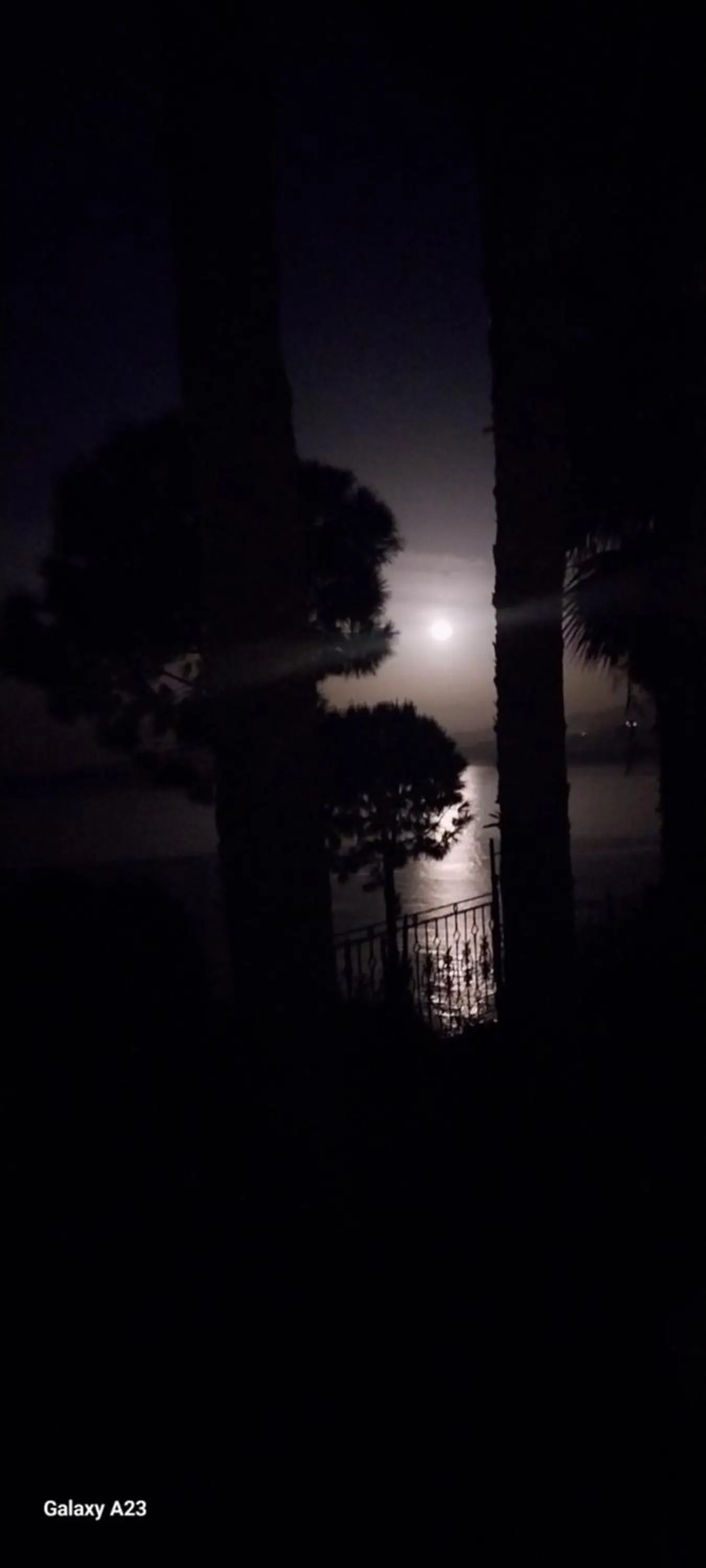 View (from property/room) in Datca Villa Carla Hotel