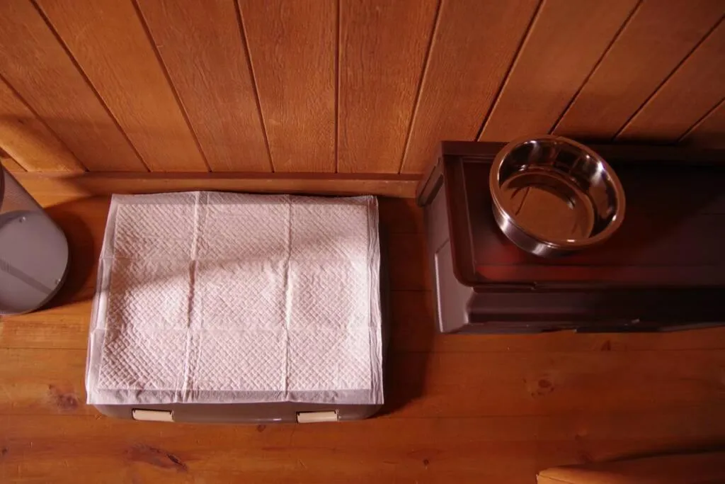 Area and facilities in Miyajima Breeze