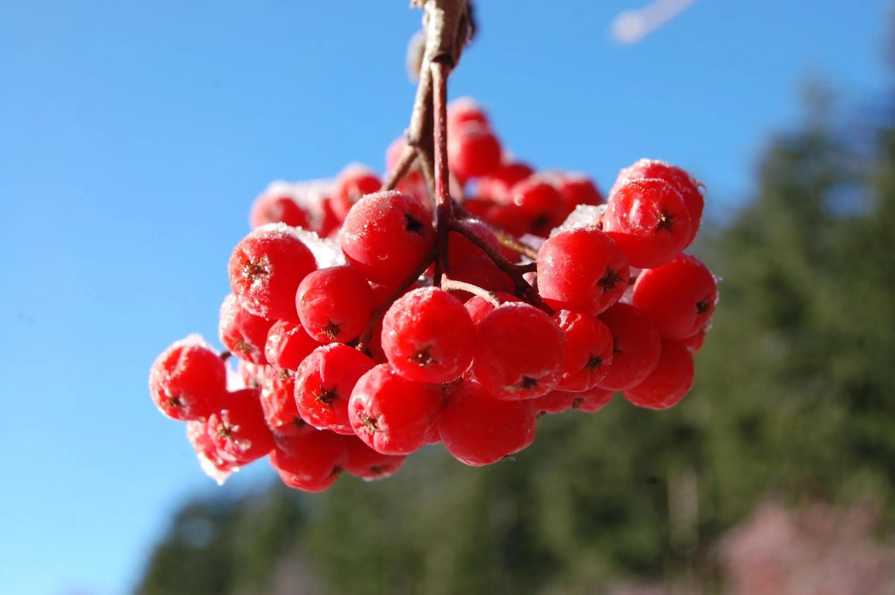 Rifugio Casello Margherita