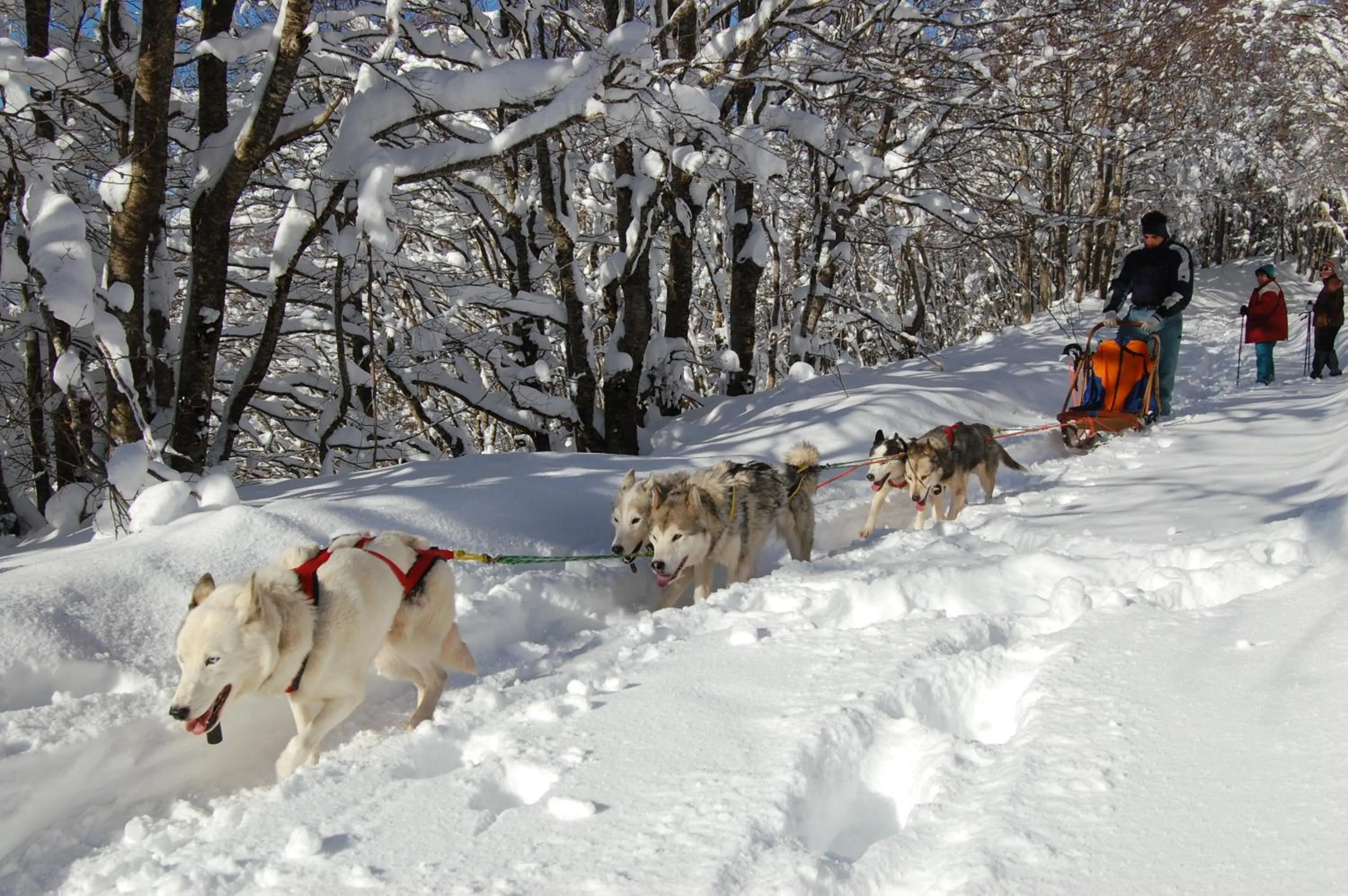 Rifugio Casello Margherita