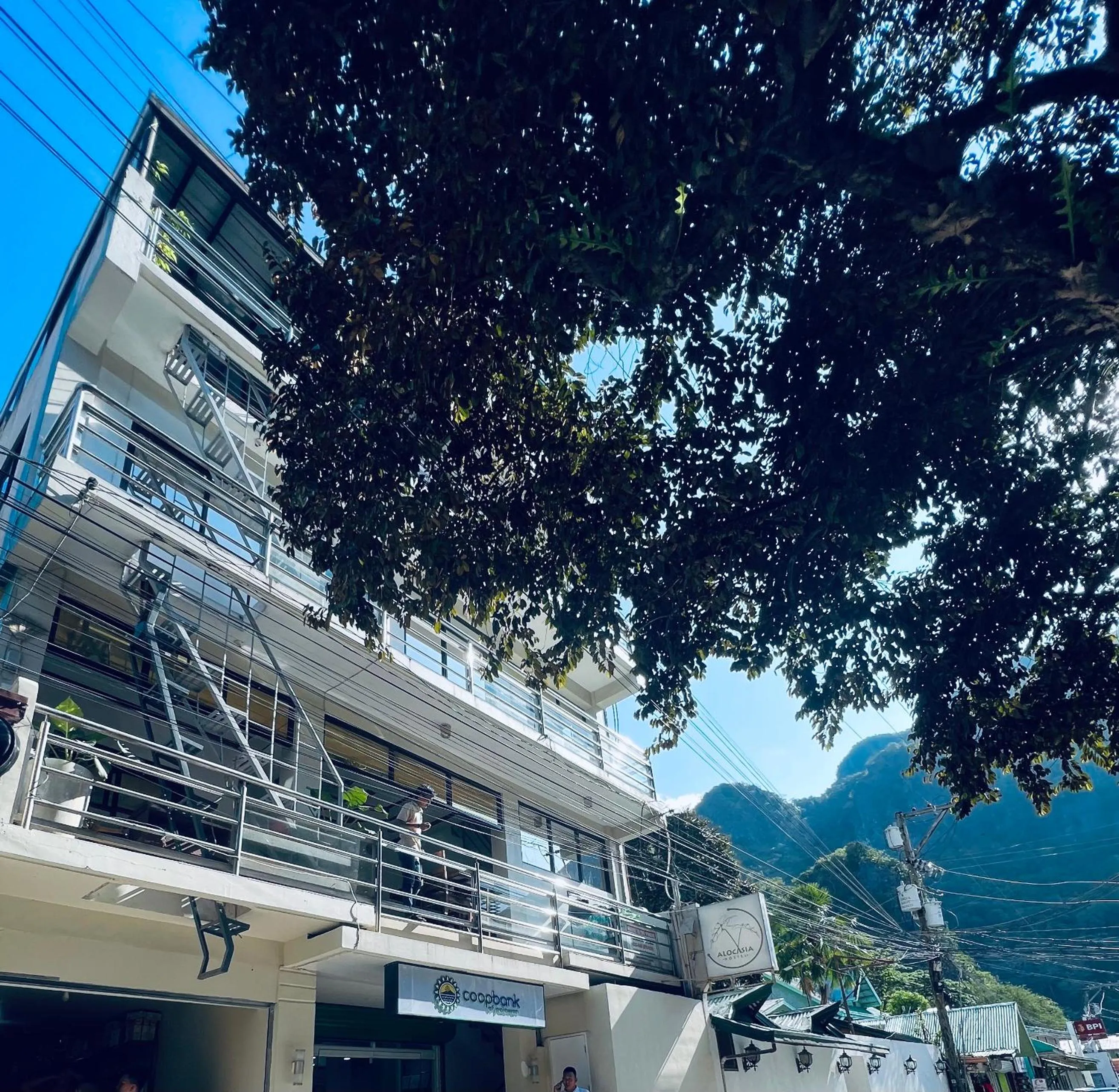 Alocasia Inn - El Nido