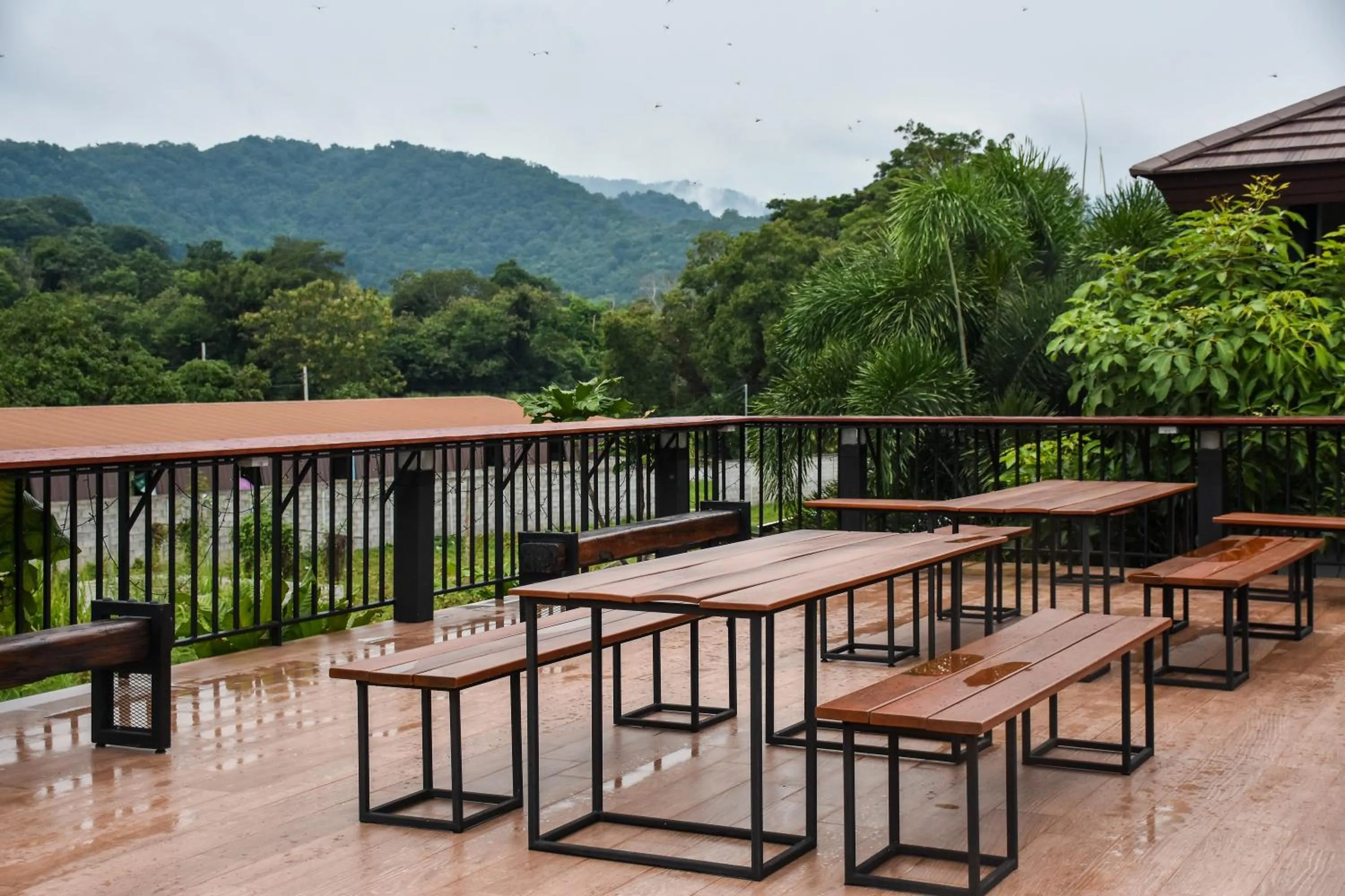 Balcony/Terrace in JINGLE JUNGLE RESORT KHAOYAI