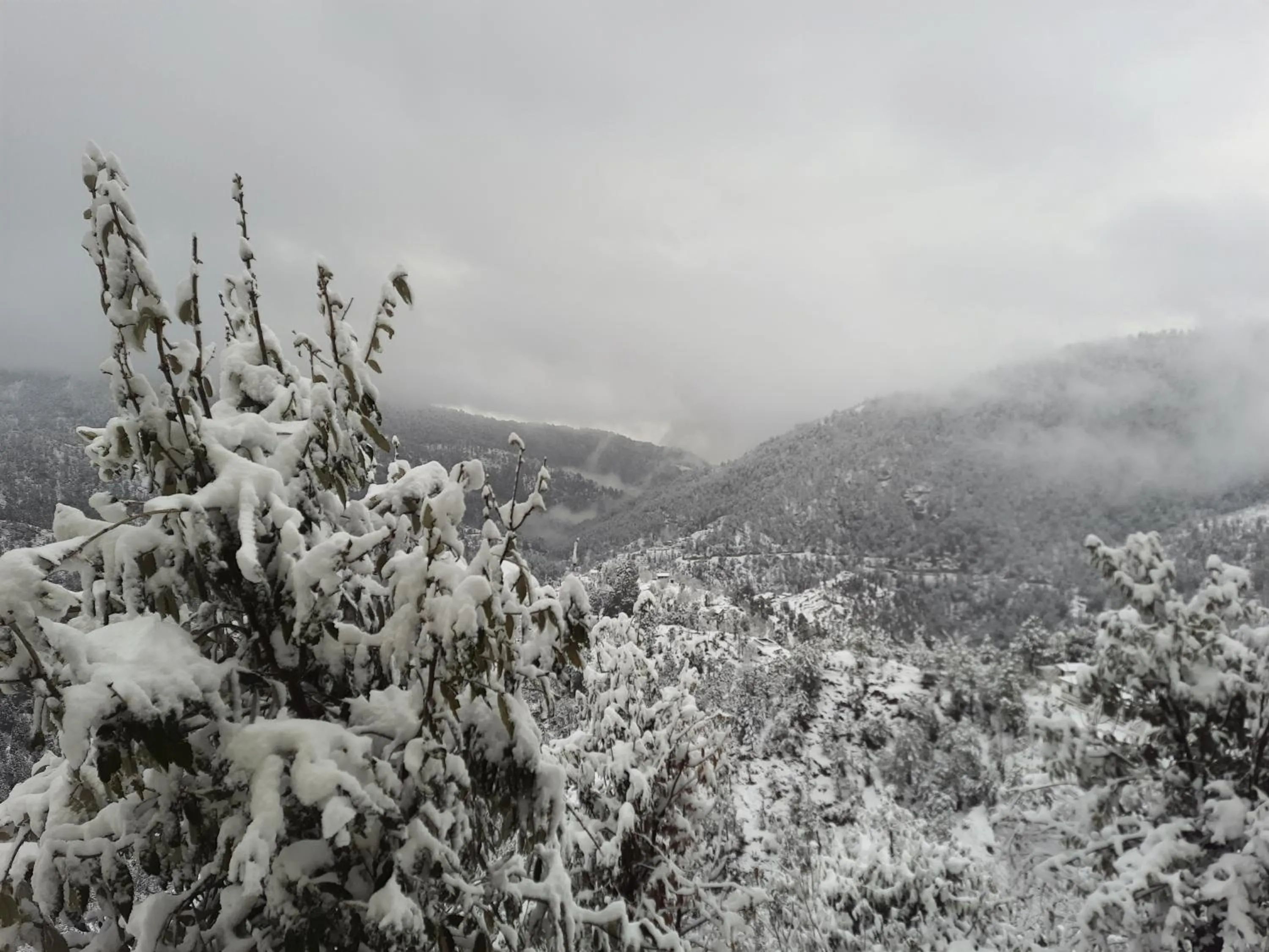 View (from property/room) in juSTa Mukteshwar Retreat & Spa