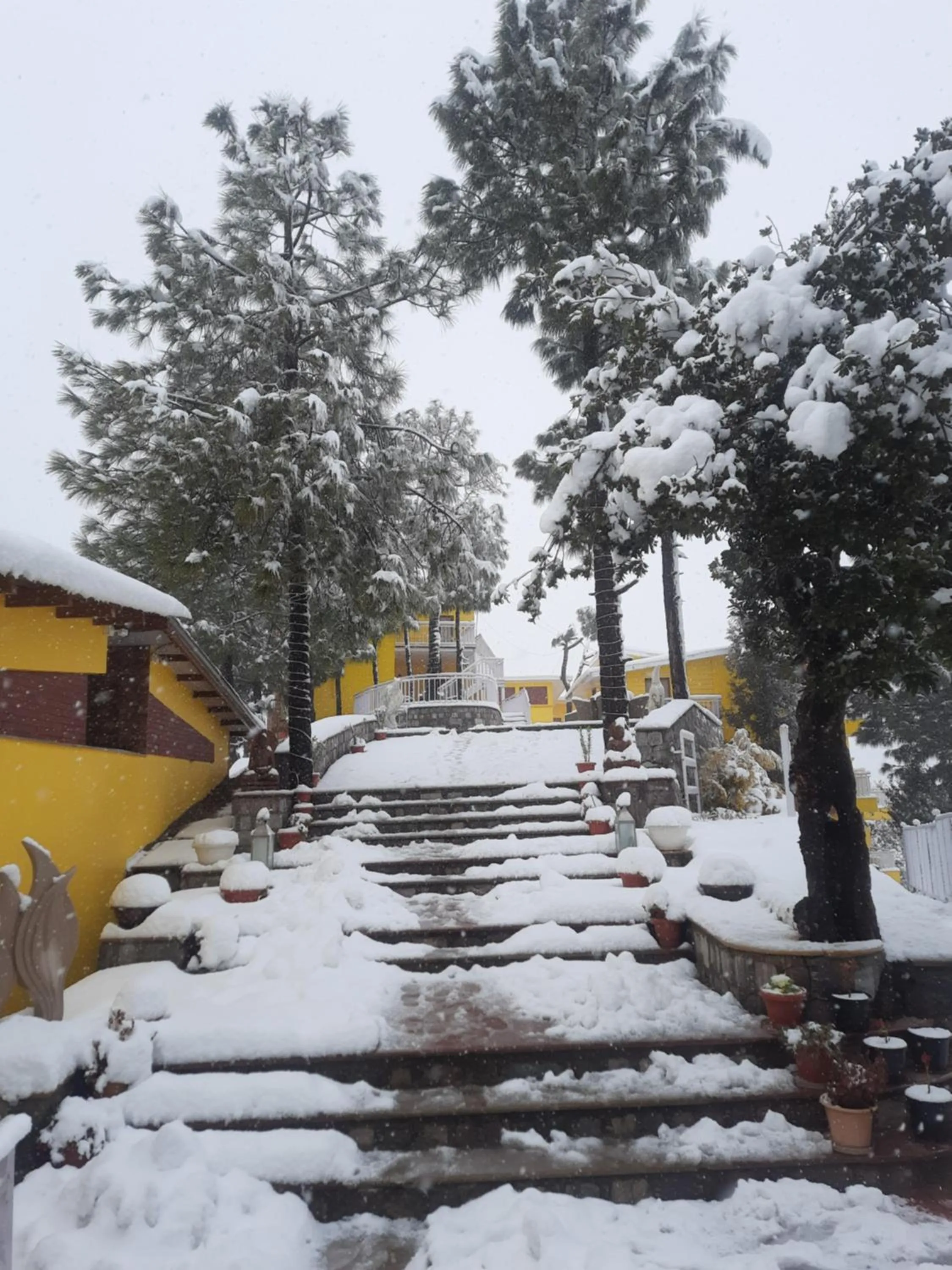 View (from property/room) in juSTa Mukteshwar Retreat & Spa