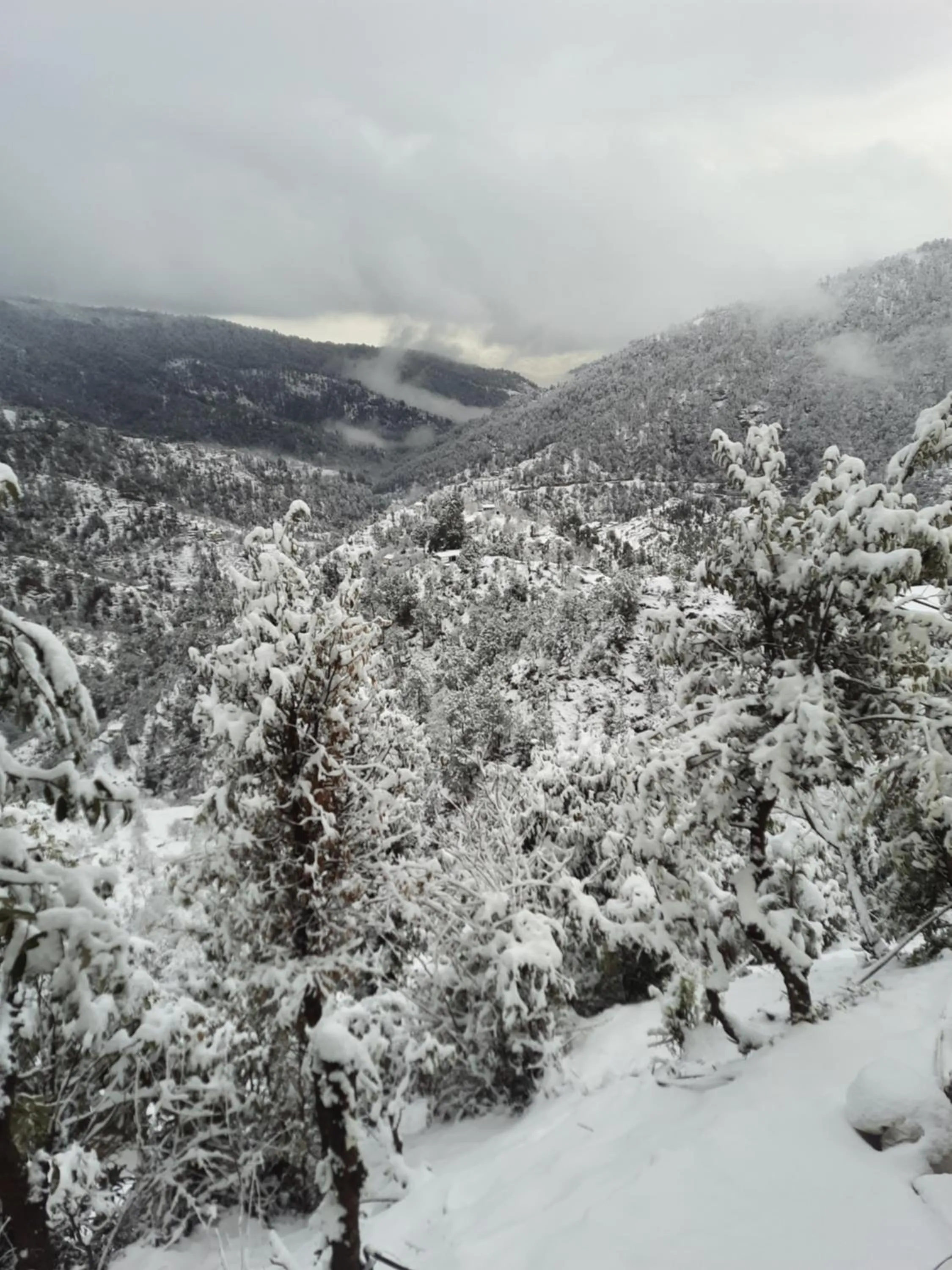 View (from property/room) in juSTa Mukteshwar Retreat & Spa