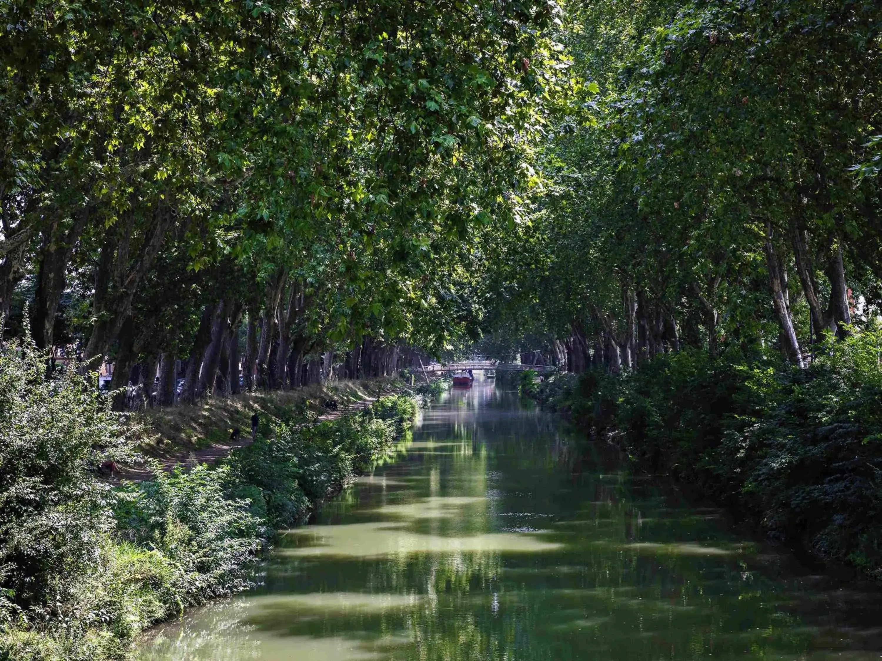 Property building in hotelF1 Toulouse Ramonville Property building in hotelF1 Toulouse Ramonville