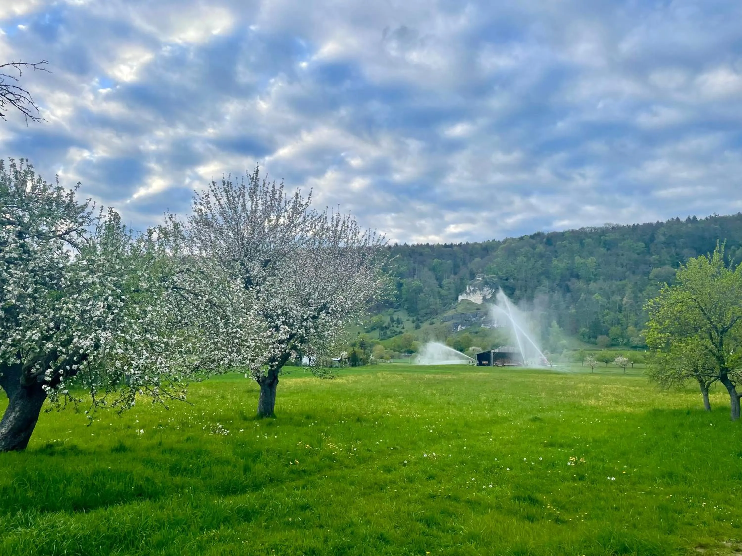 View (from property/room) in Römercastell Wirtshaus & Hotel
