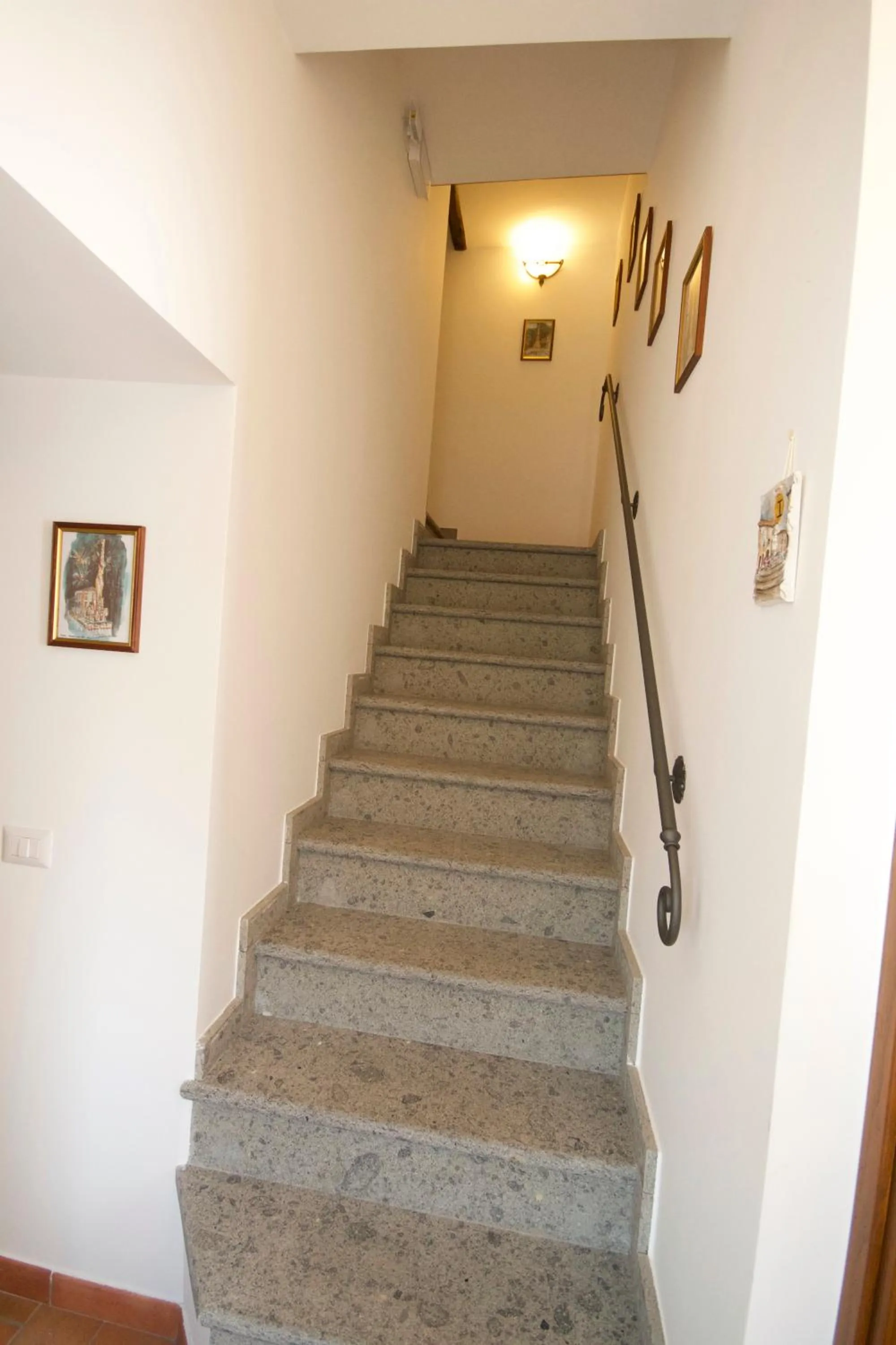 Area and facilities in Il Gallo Nero