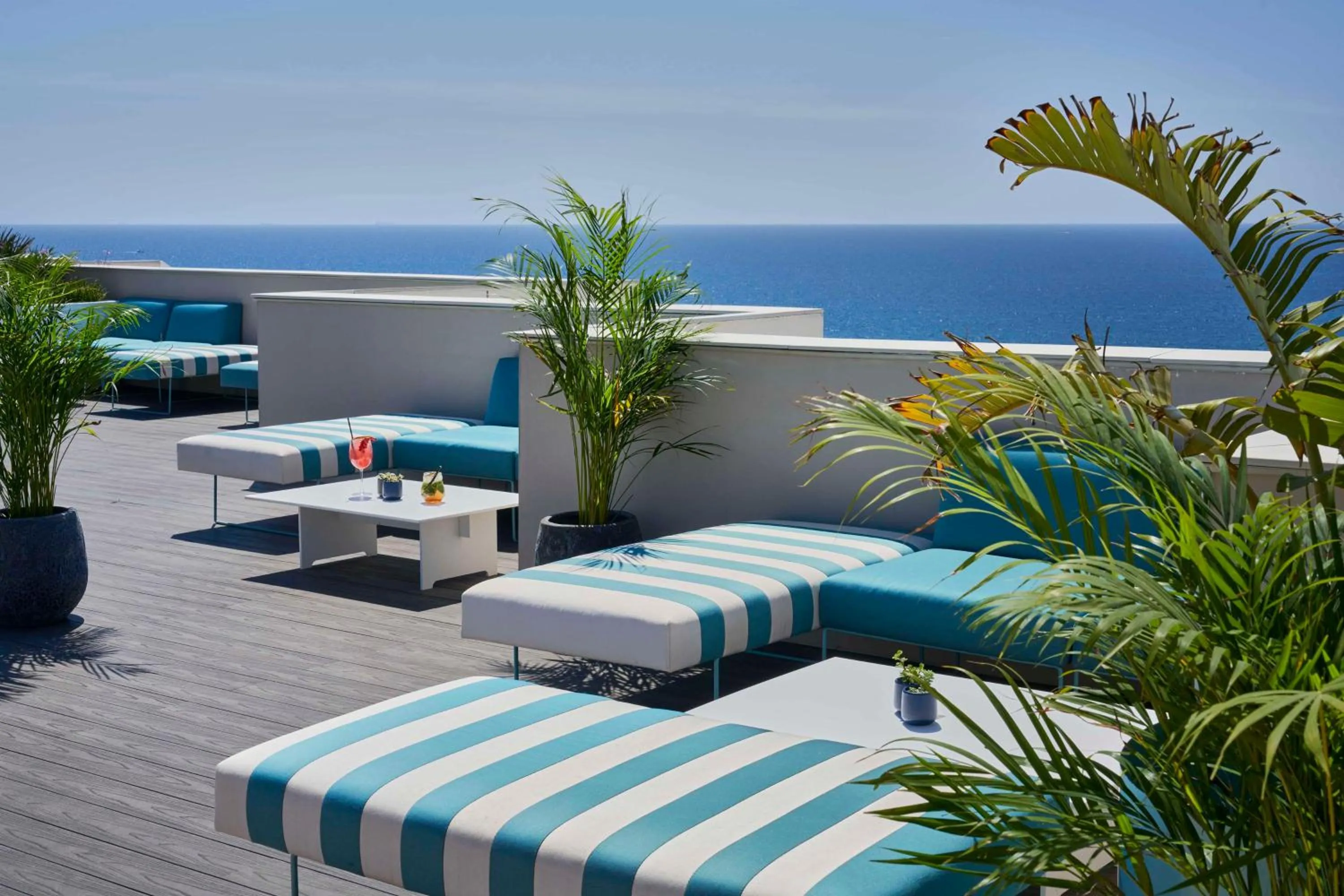 Lounge or bar in Barceló Conil Playa - Adults Recommended