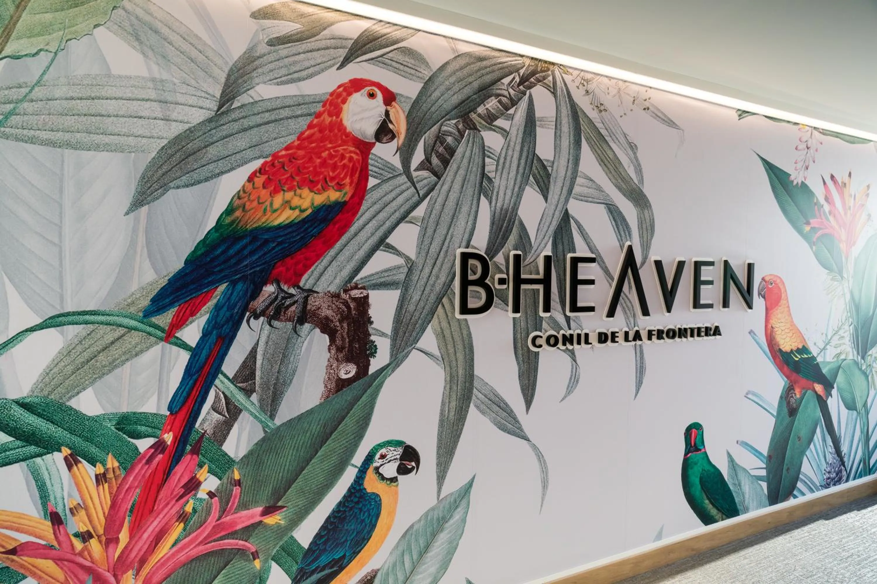 Lounge or bar in Barceló Conil Playa - Adults Recommended