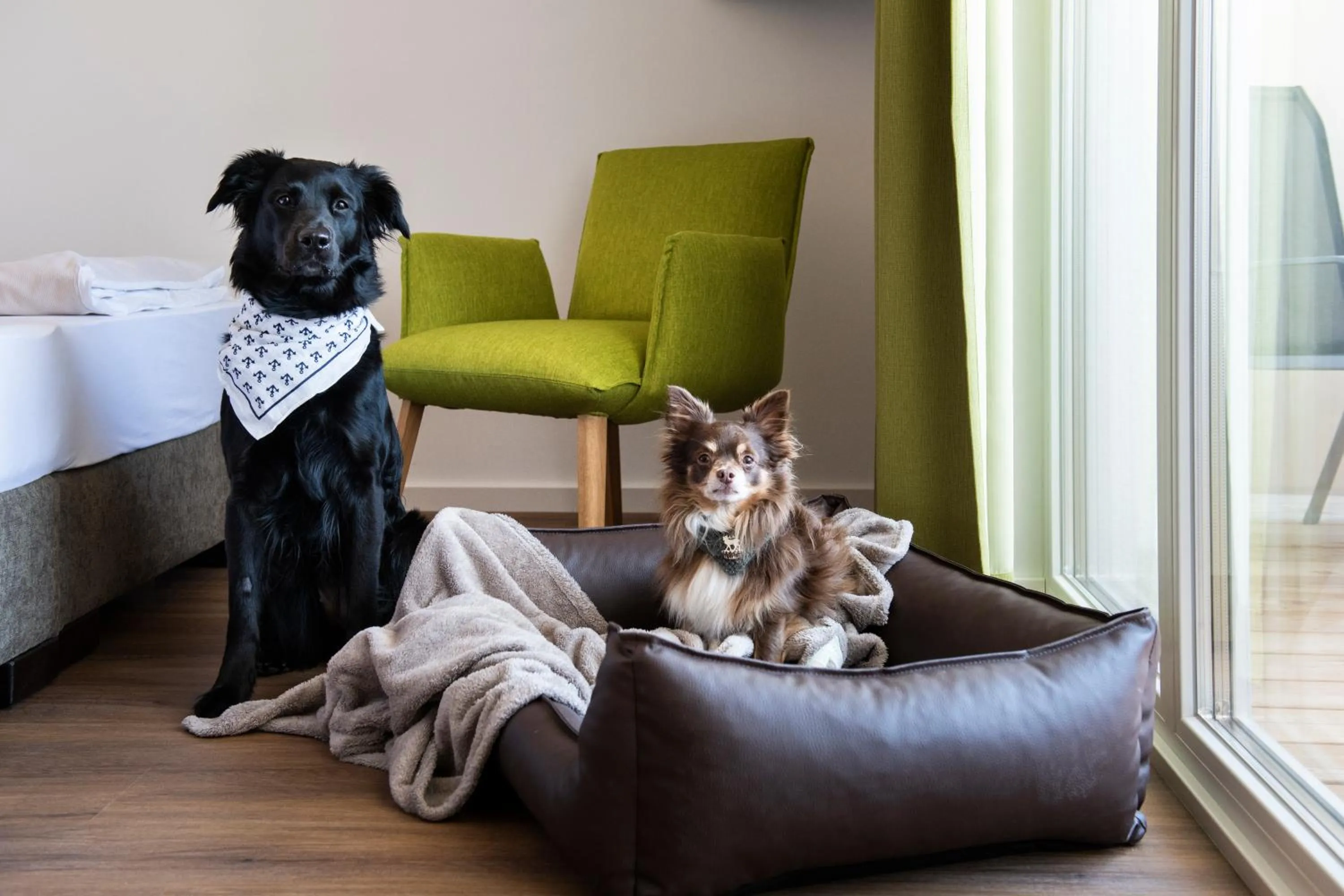 Animals in Schnitzers Dahoam - Hundefreundlich