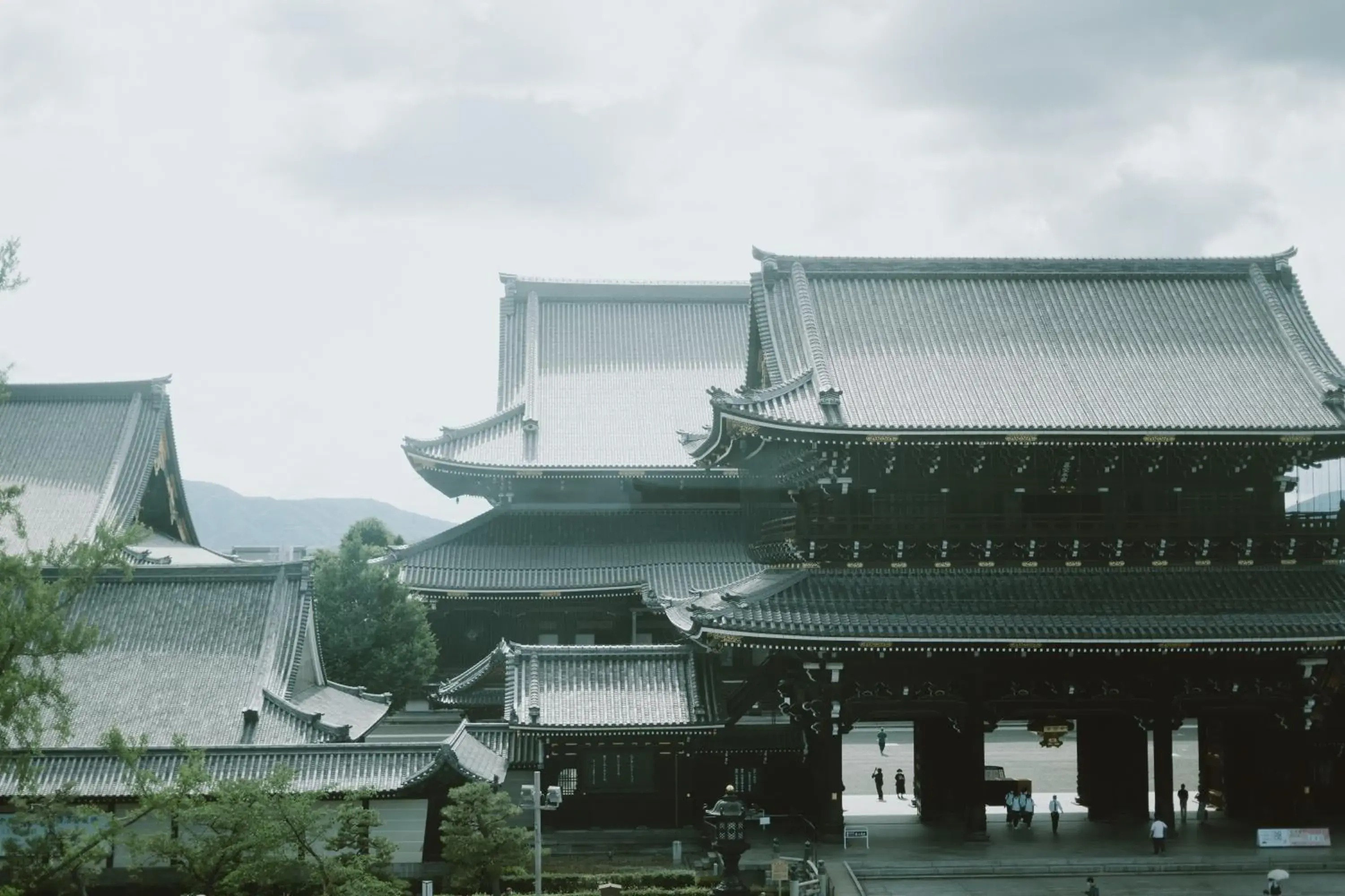 View (from property/room) in 20 PIECES View (from property/room) in 20 PIECES