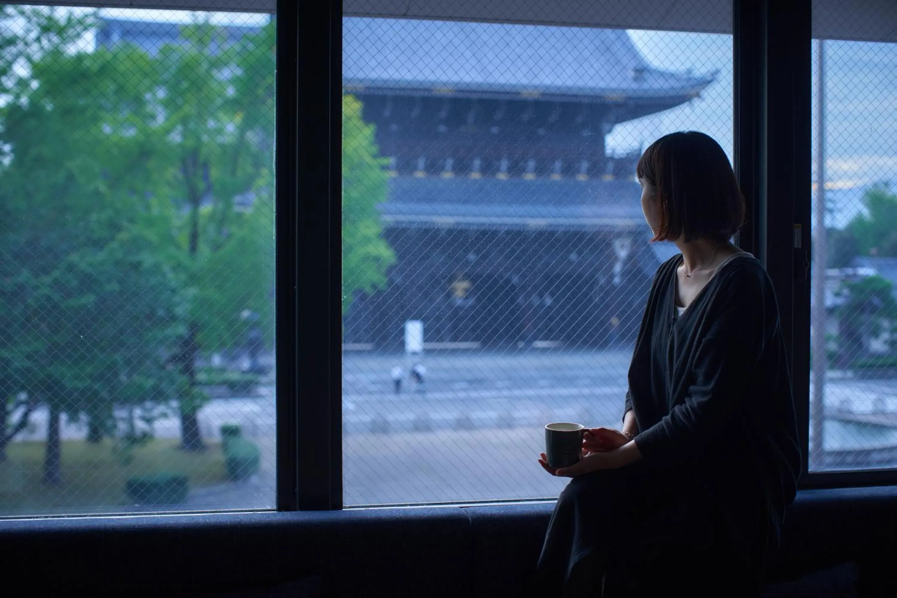 View (from property/room) in 20 PIECES View (from property/room) in 20 PIECES