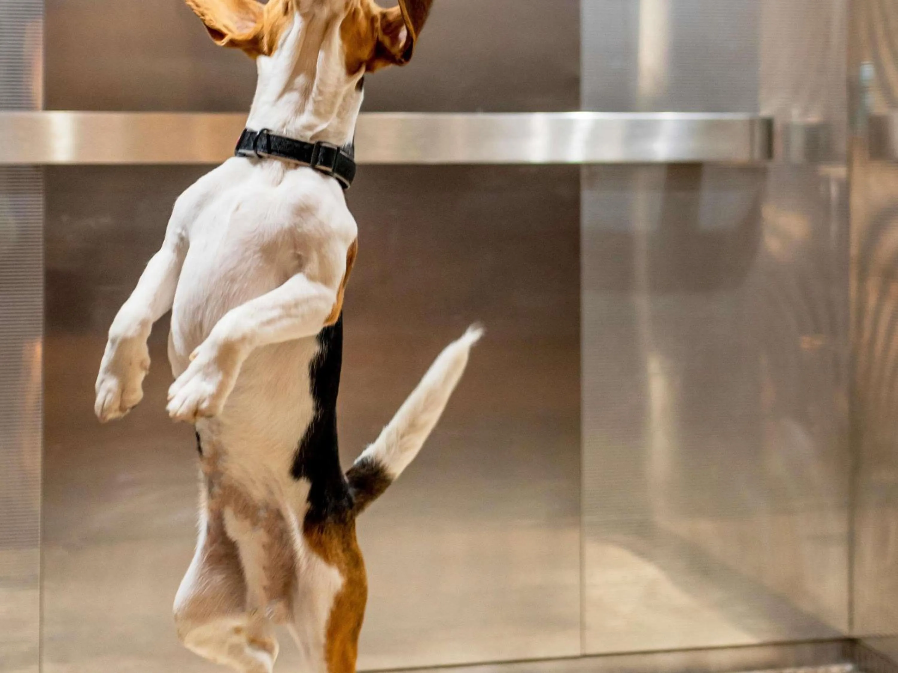 Other in Hôtel Ibis Cognac Centre