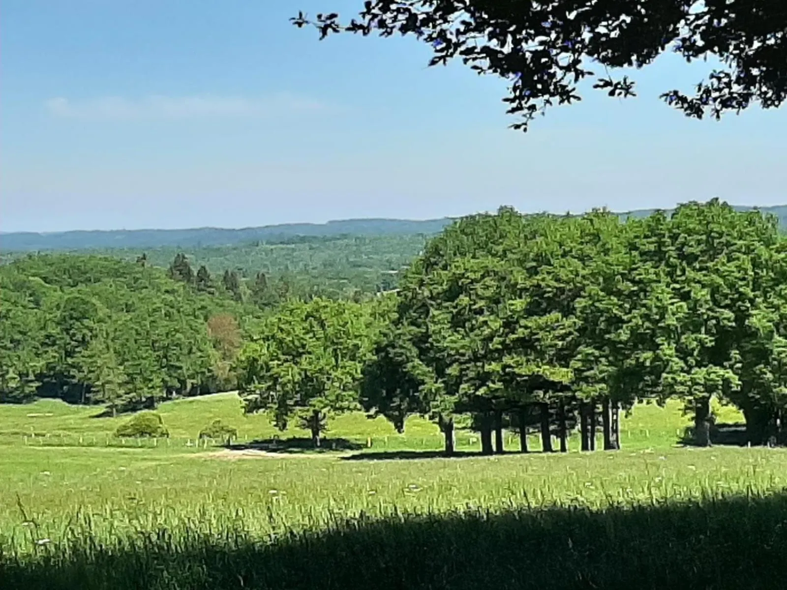 Natural landscape in Chateau Sourliavoux, appartement en chambres d'hôtes