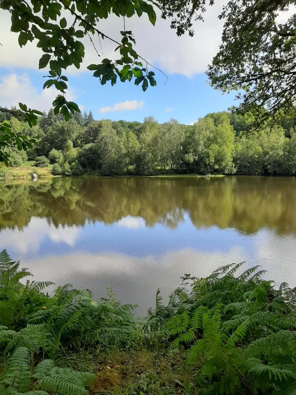 Natural landscape in Chateau Sourliavoux, appartement en chambres d'hôtes