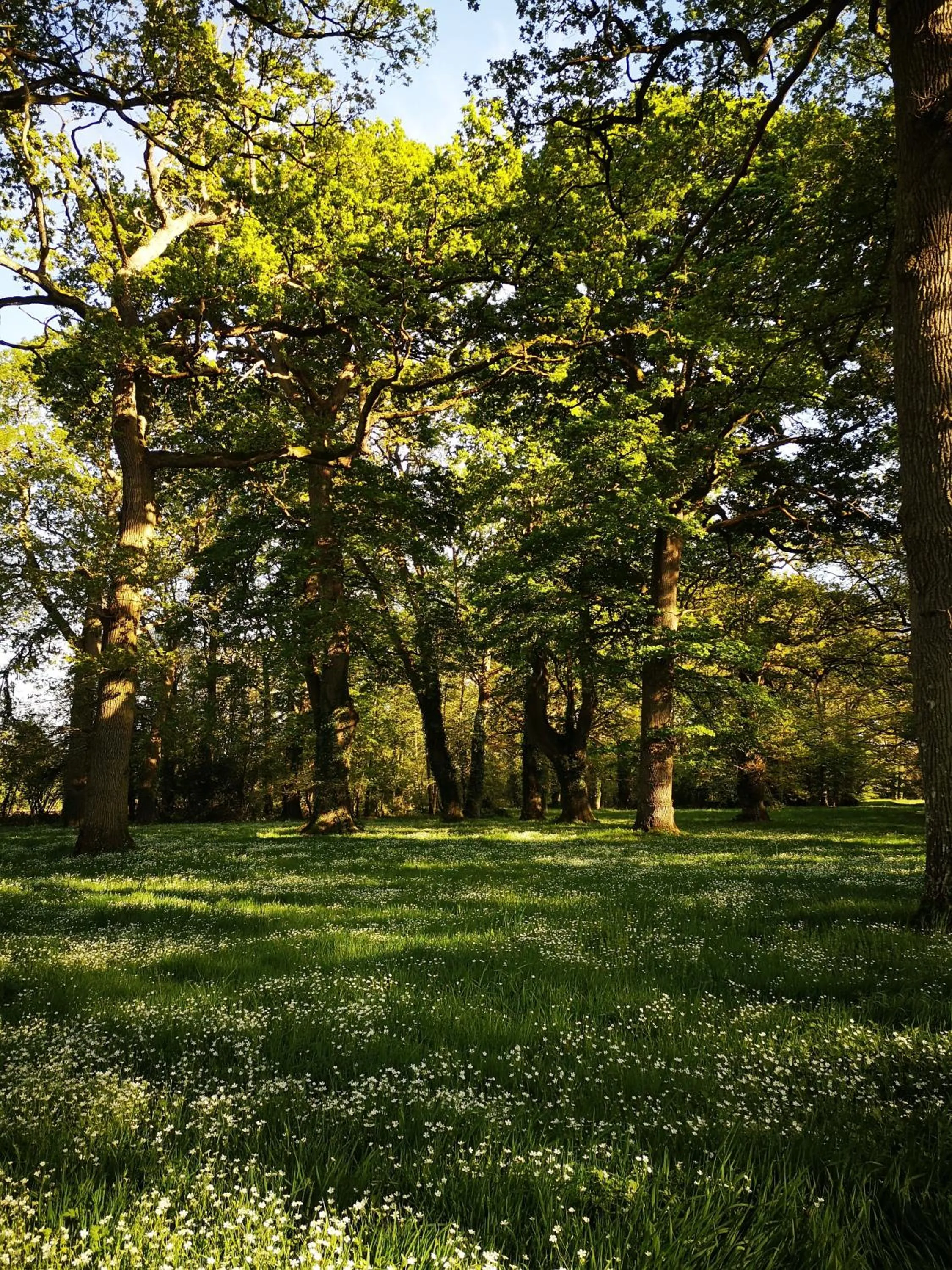 Domaine des Longrais