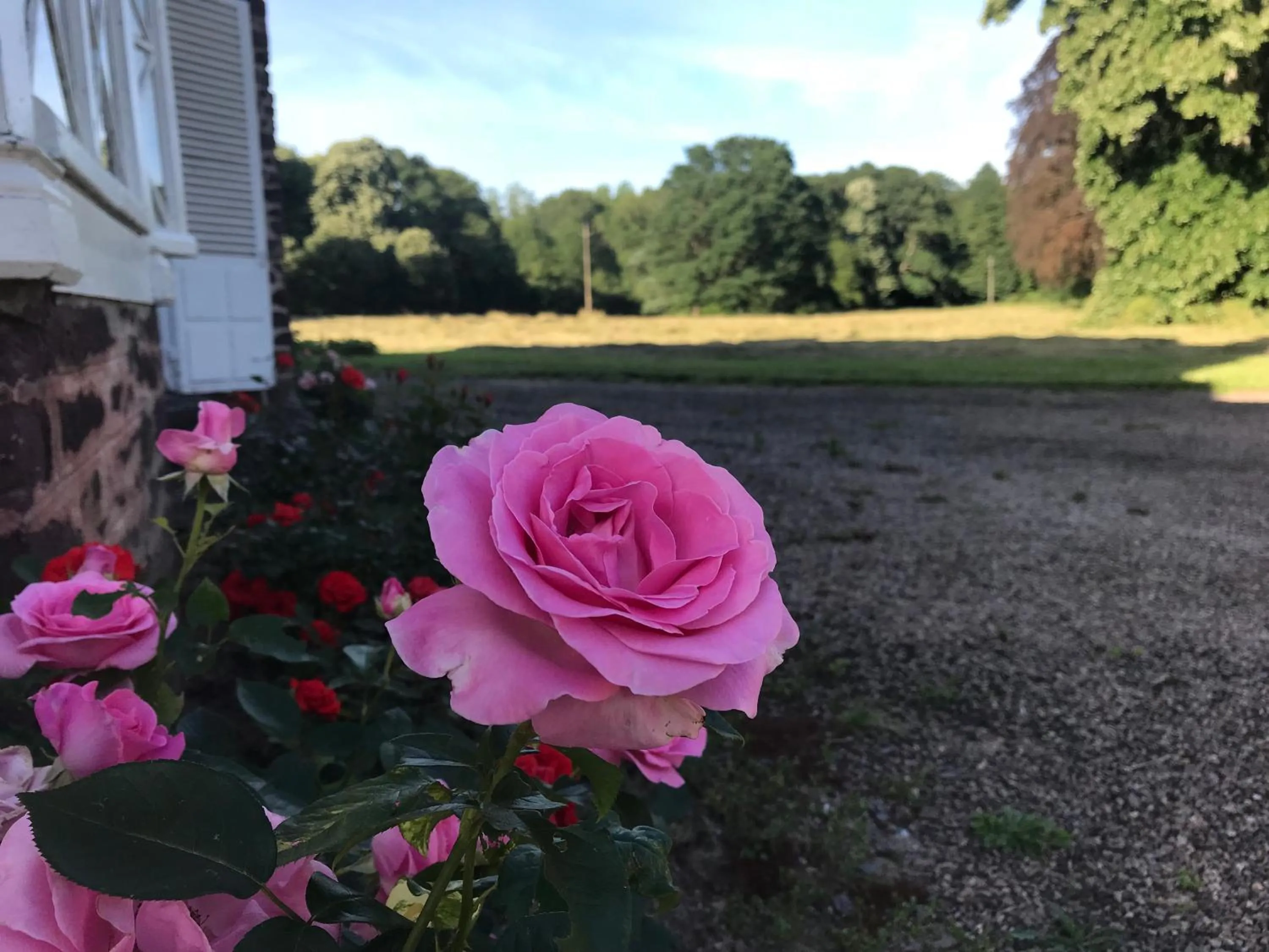 Domaine des Longrais