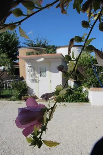 B&b Sogni d'oro Milena