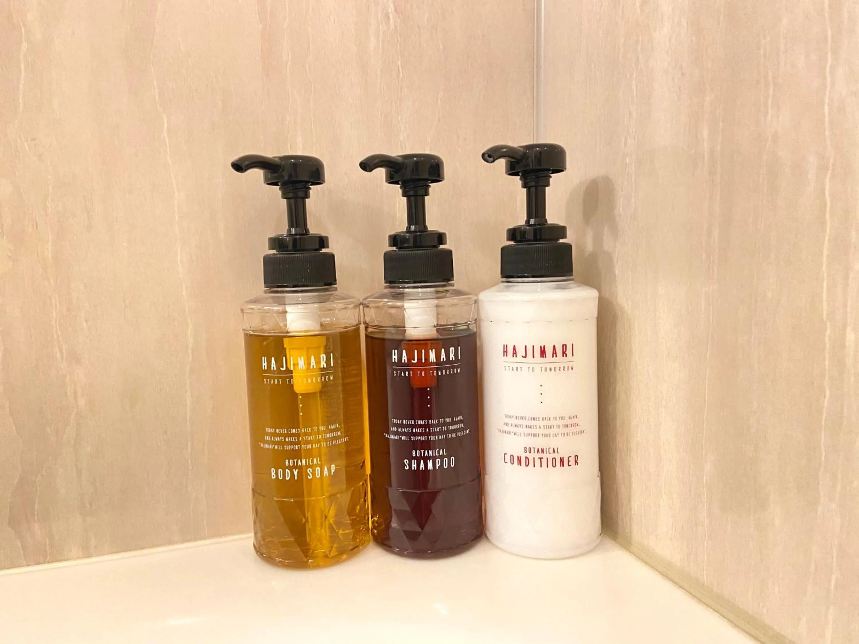 Activities in Smile Hotel Tokyo Nishikasai