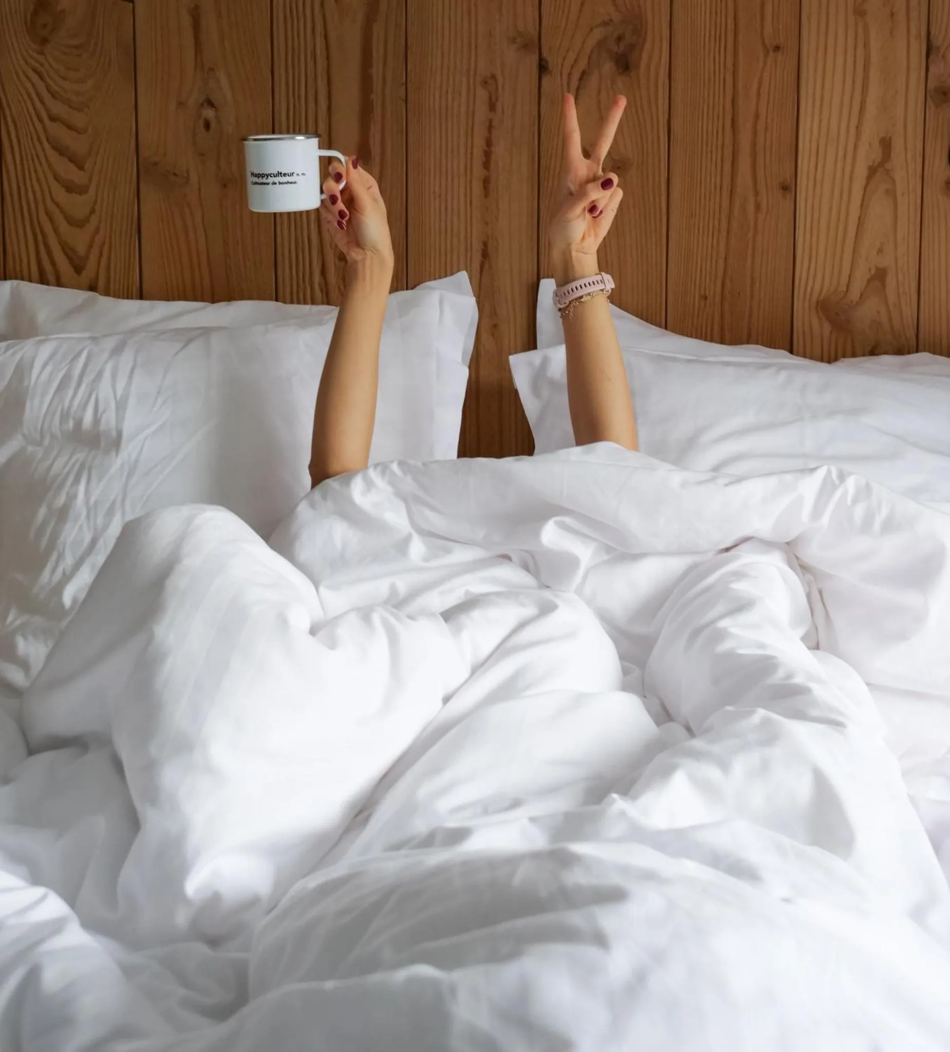 Bed in PlanB - Living Saint-Gervais