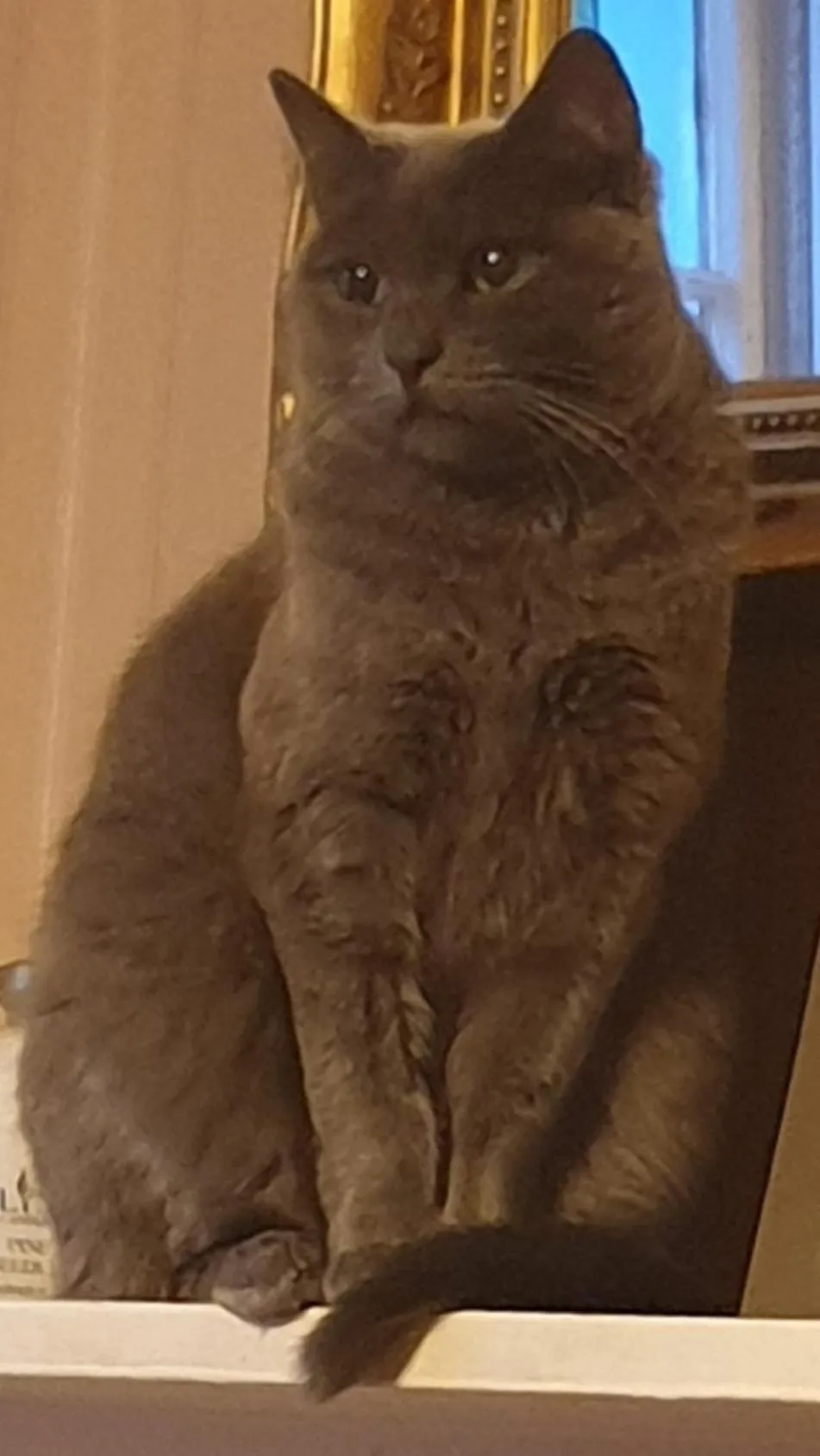 Natural landscape in St Vincent Guest House