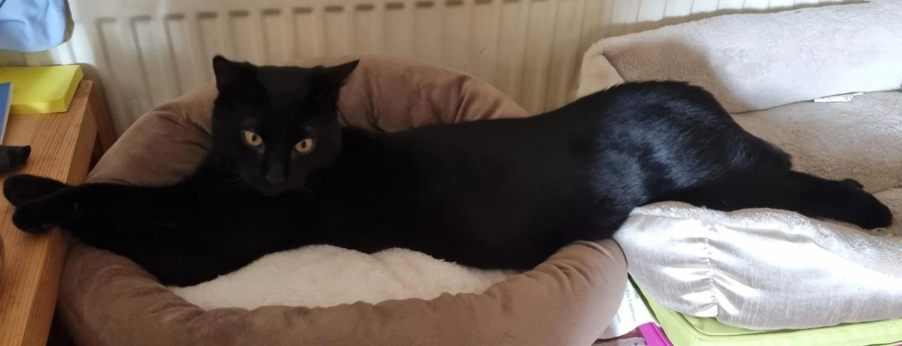 Other in St Vincent Guest House