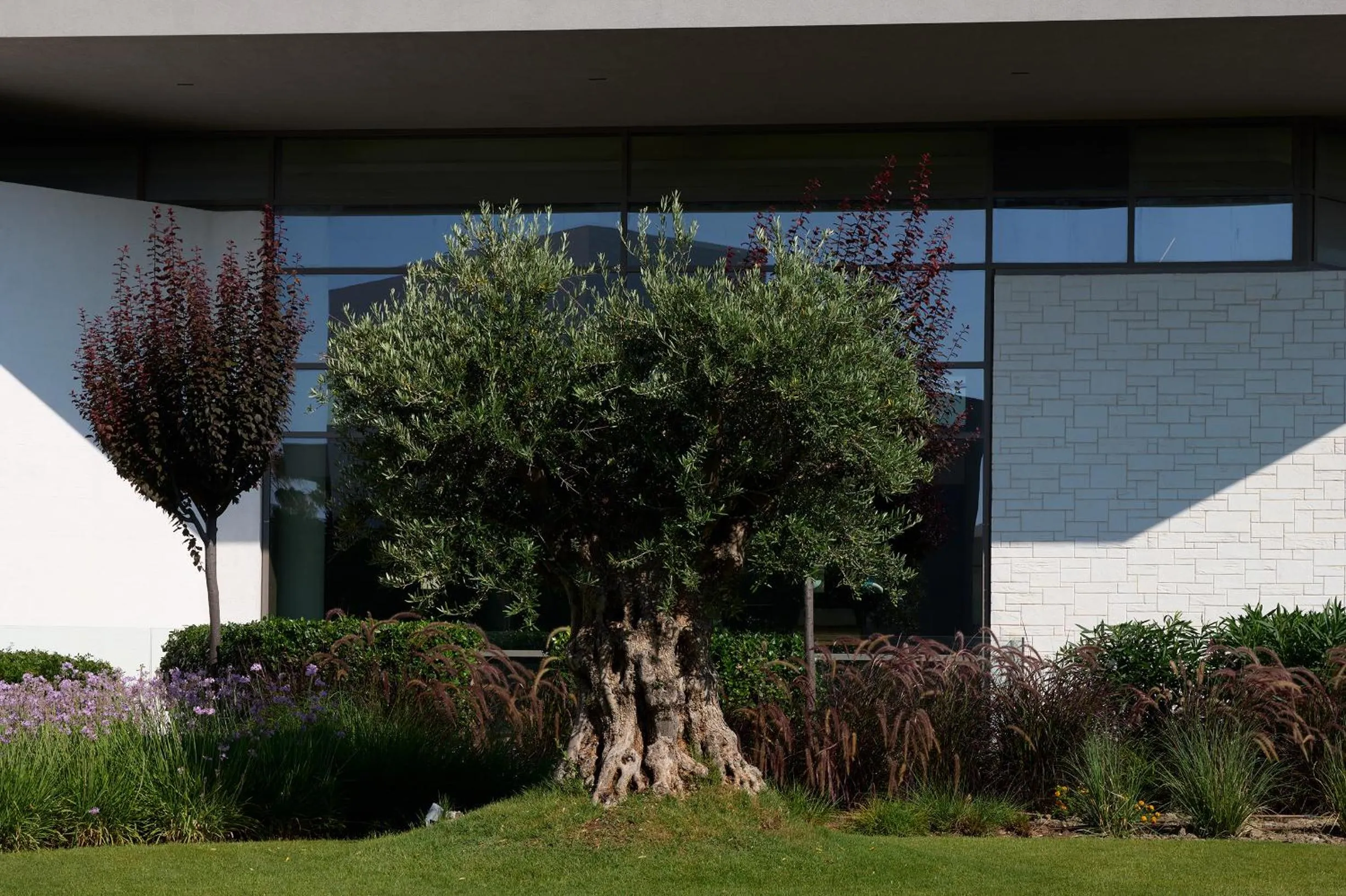 Garden in Atlantica Dreams Resort