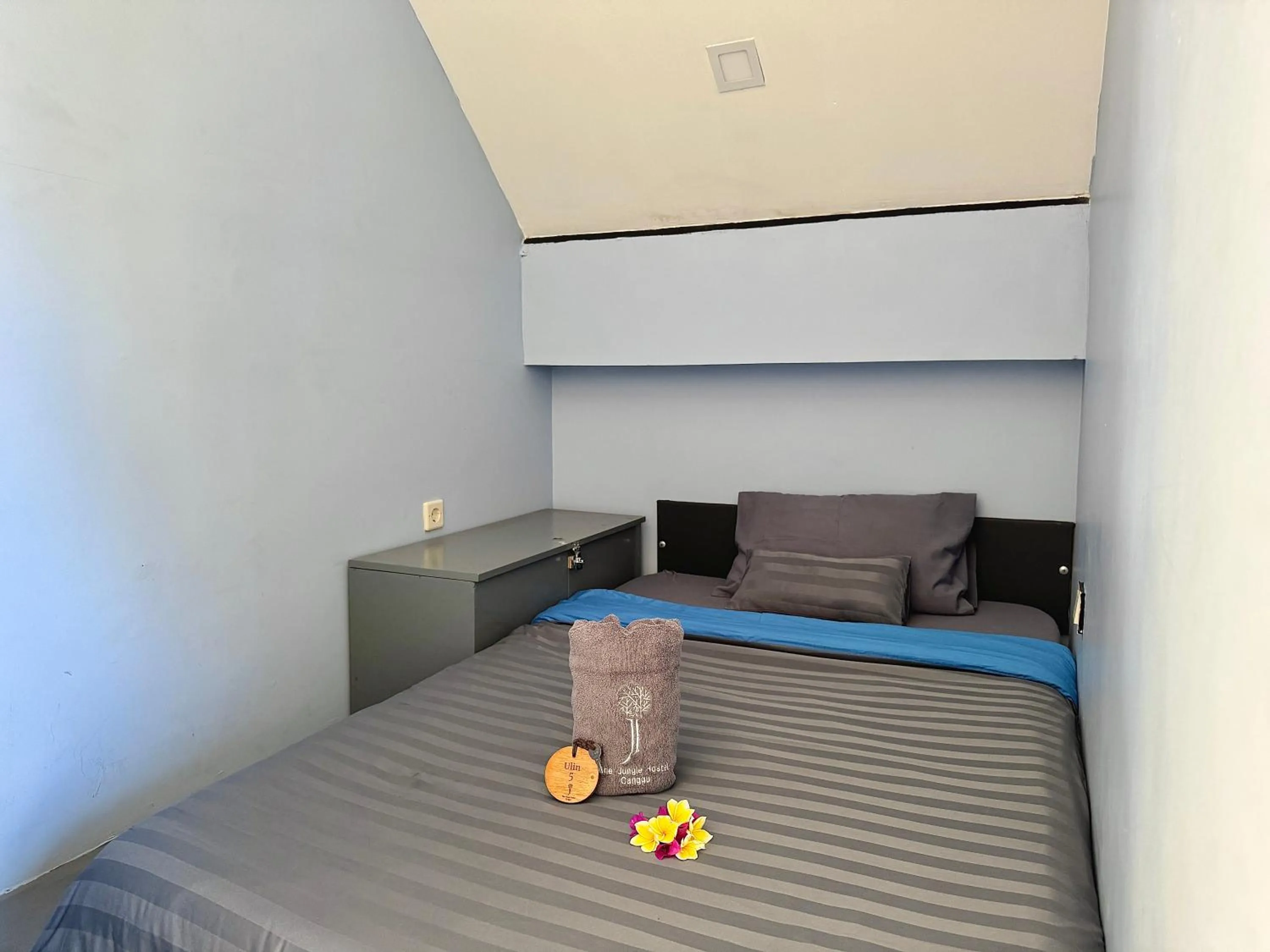 Bed in The Jungle Hostel Canggu