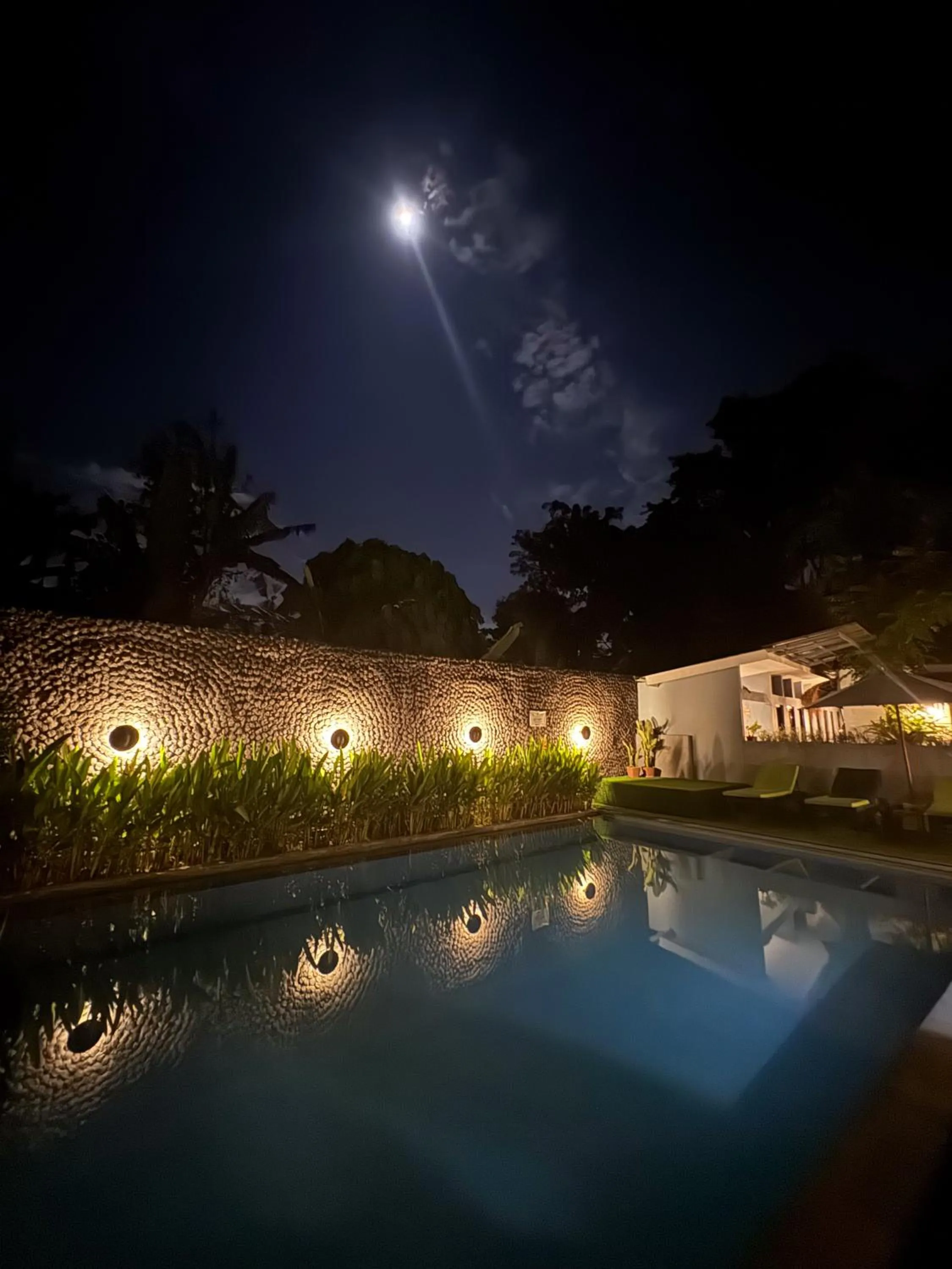 The Jungle Hostel Canggu