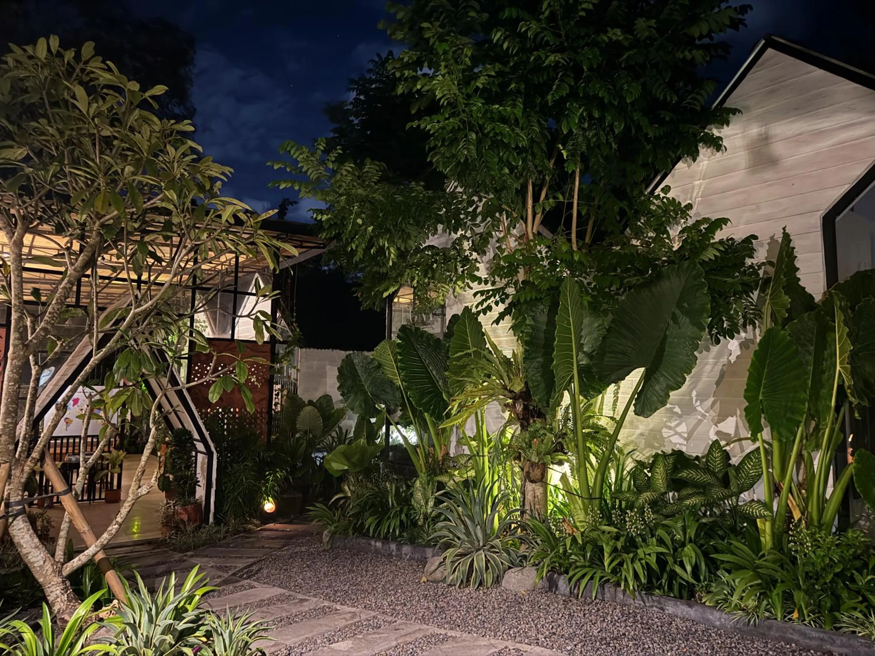 The Jungle Hostel Canggu