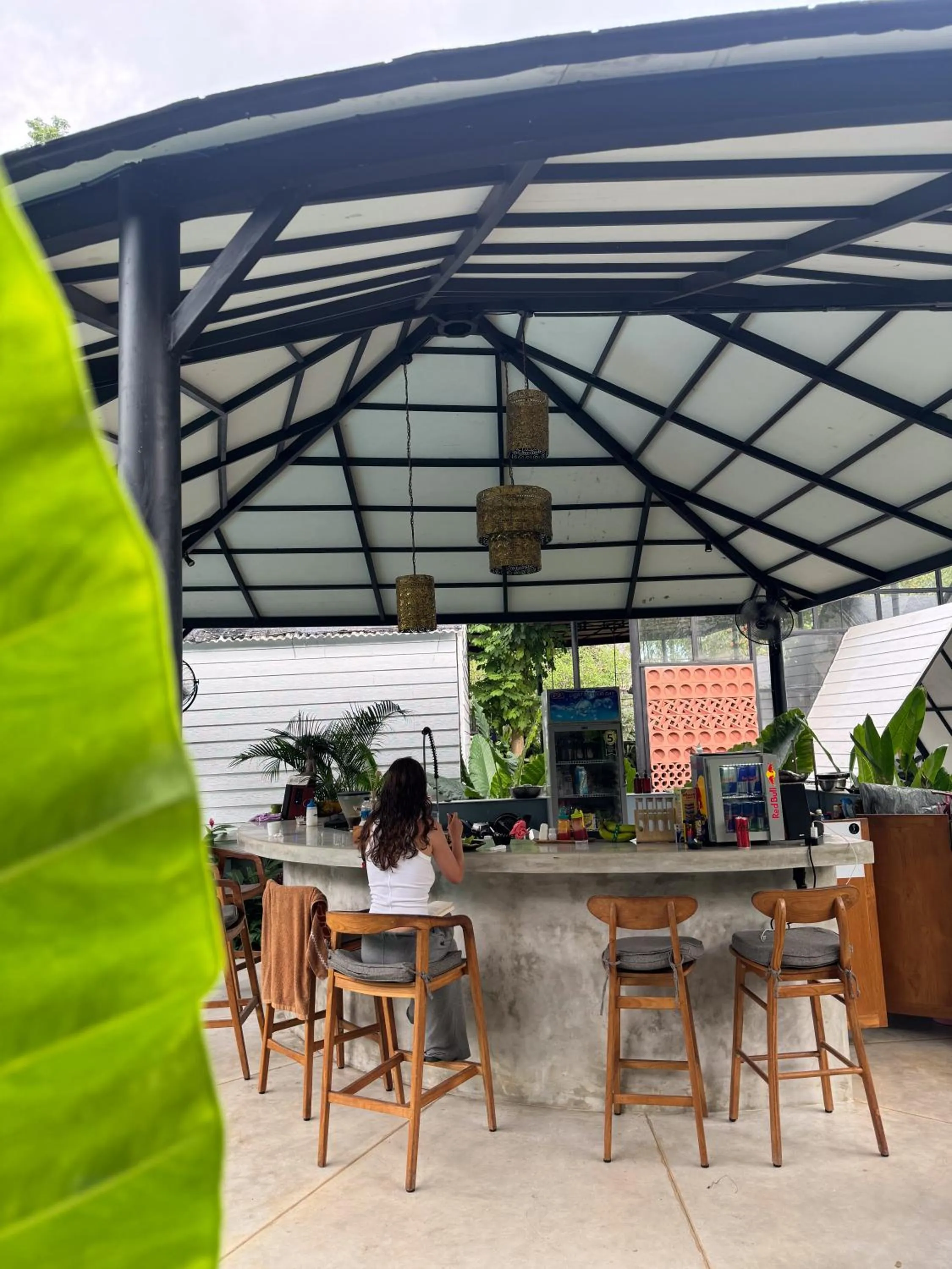 The Jungle Hostel Canggu