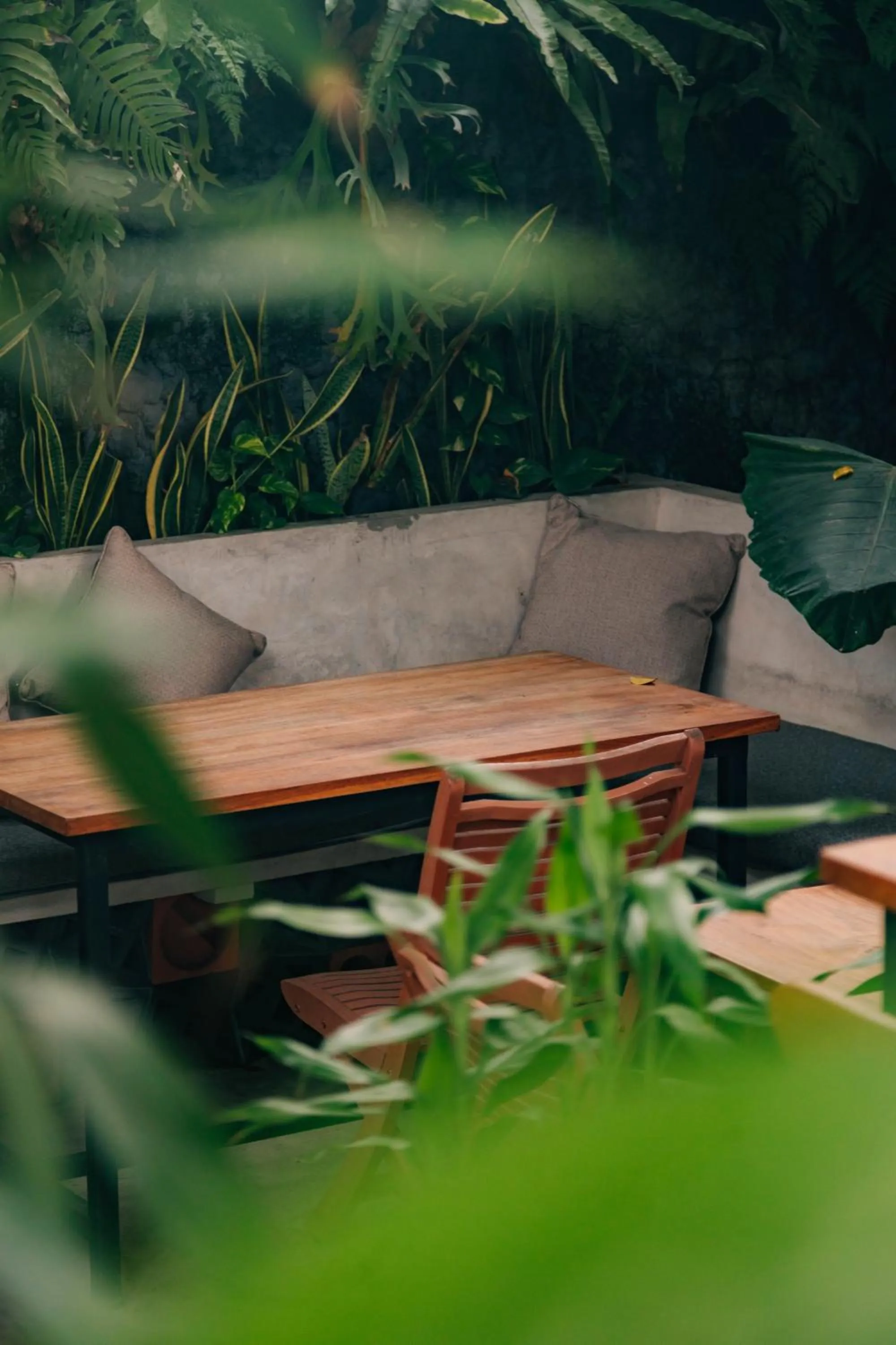 The Jungle Hostel Canggu