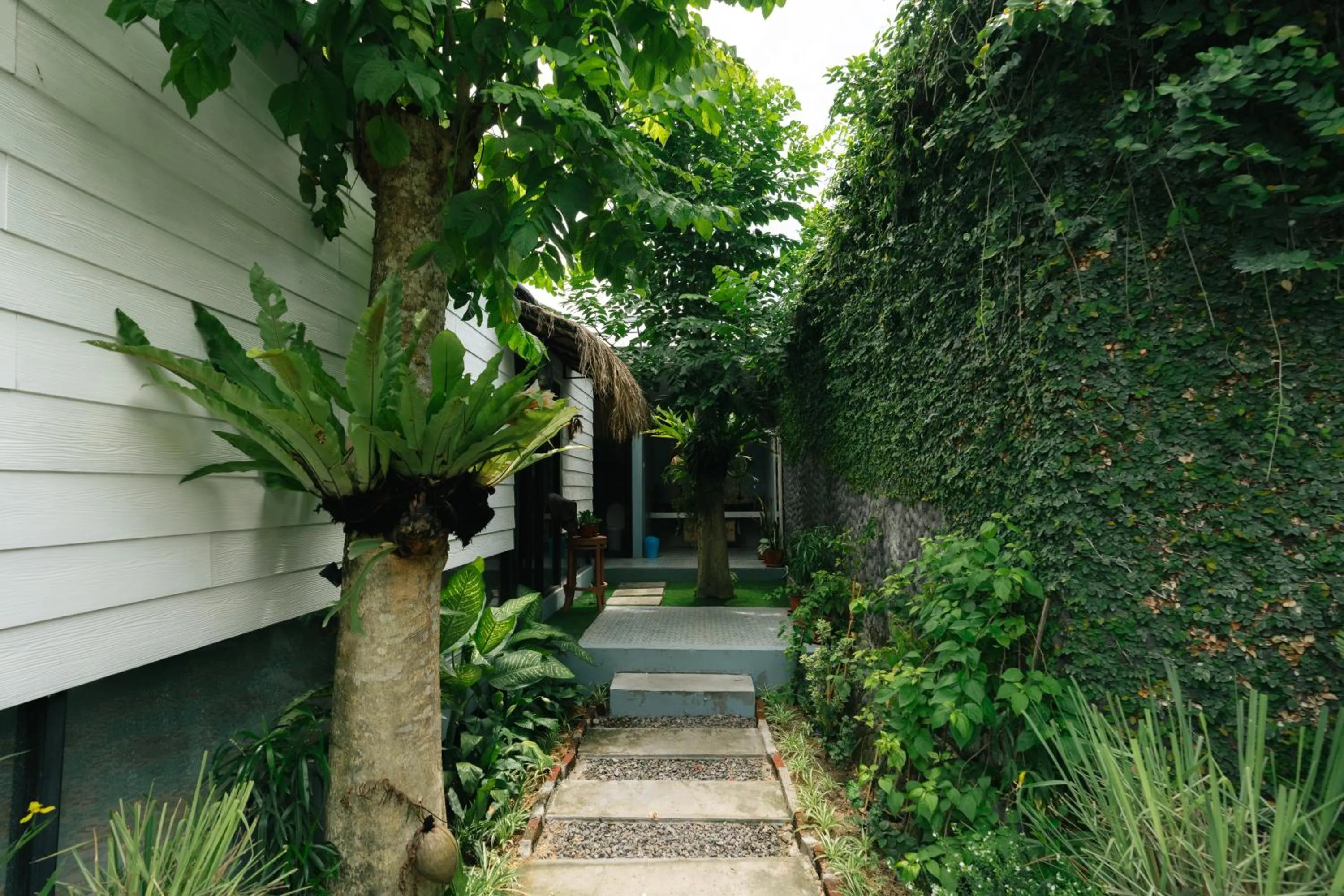 The Jungle Hostel Canggu