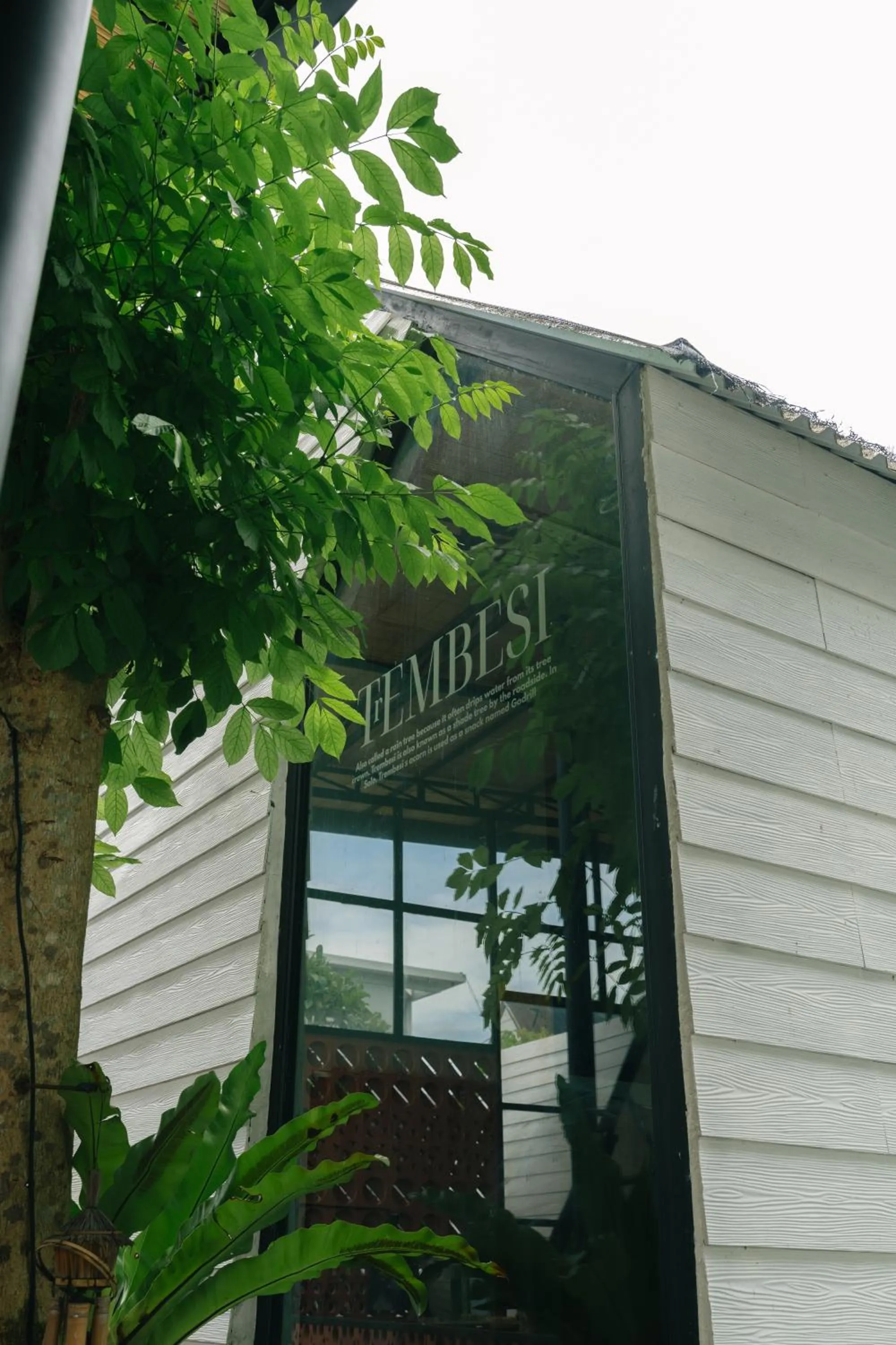 The Jungle Hostel Canggu