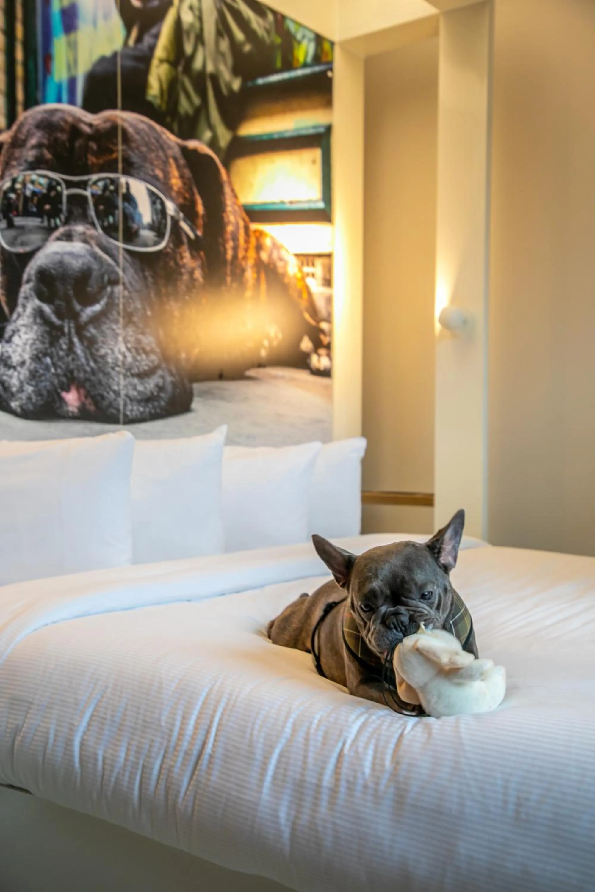 Bed in The Corner London City