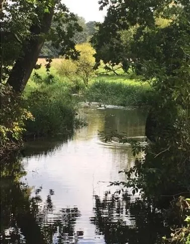 Area and facilities in Hotel Rosmarin