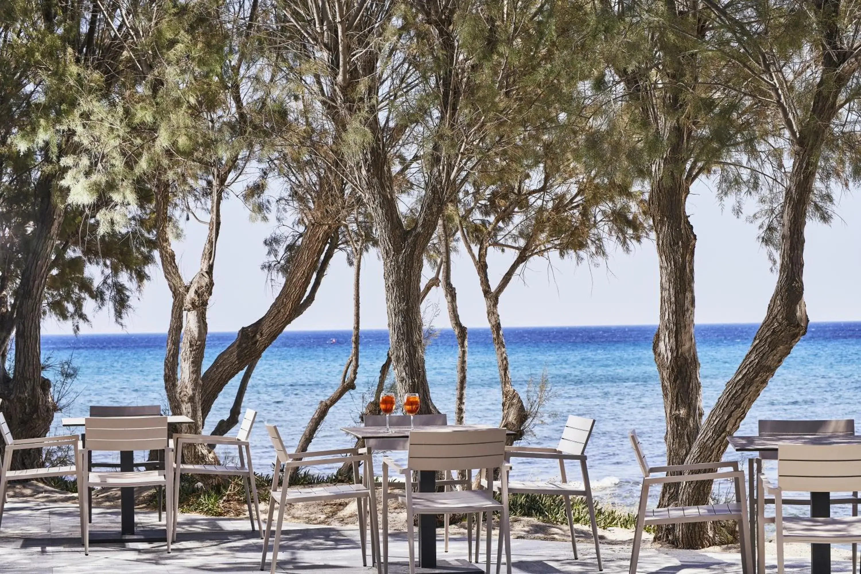 Lounge or bar in Atlantica Beach Resort Kos Lounge or bar in Atlantica Beach Resort Kos