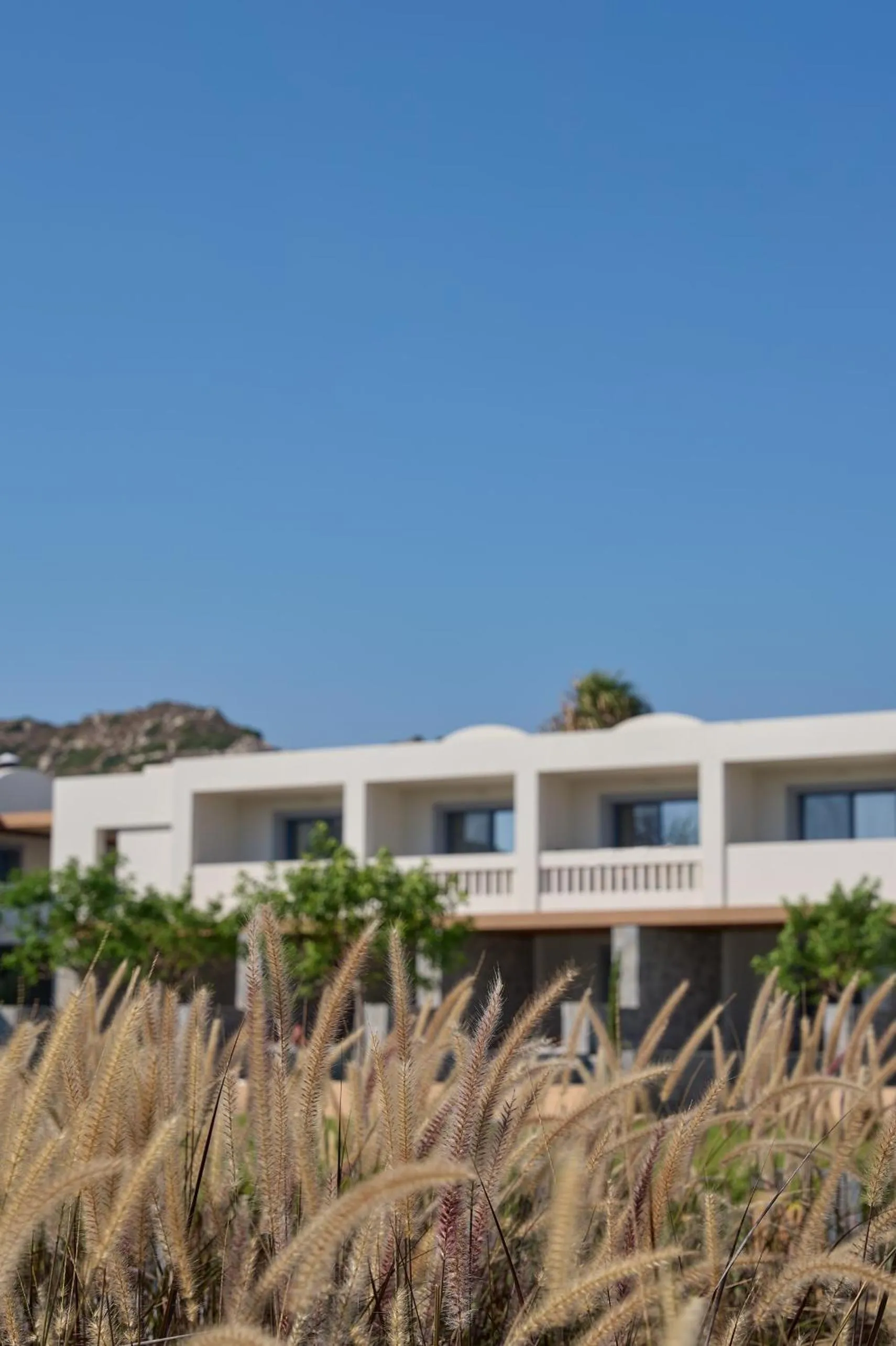 Natural landscape in Atlantica Beach Resort Kos