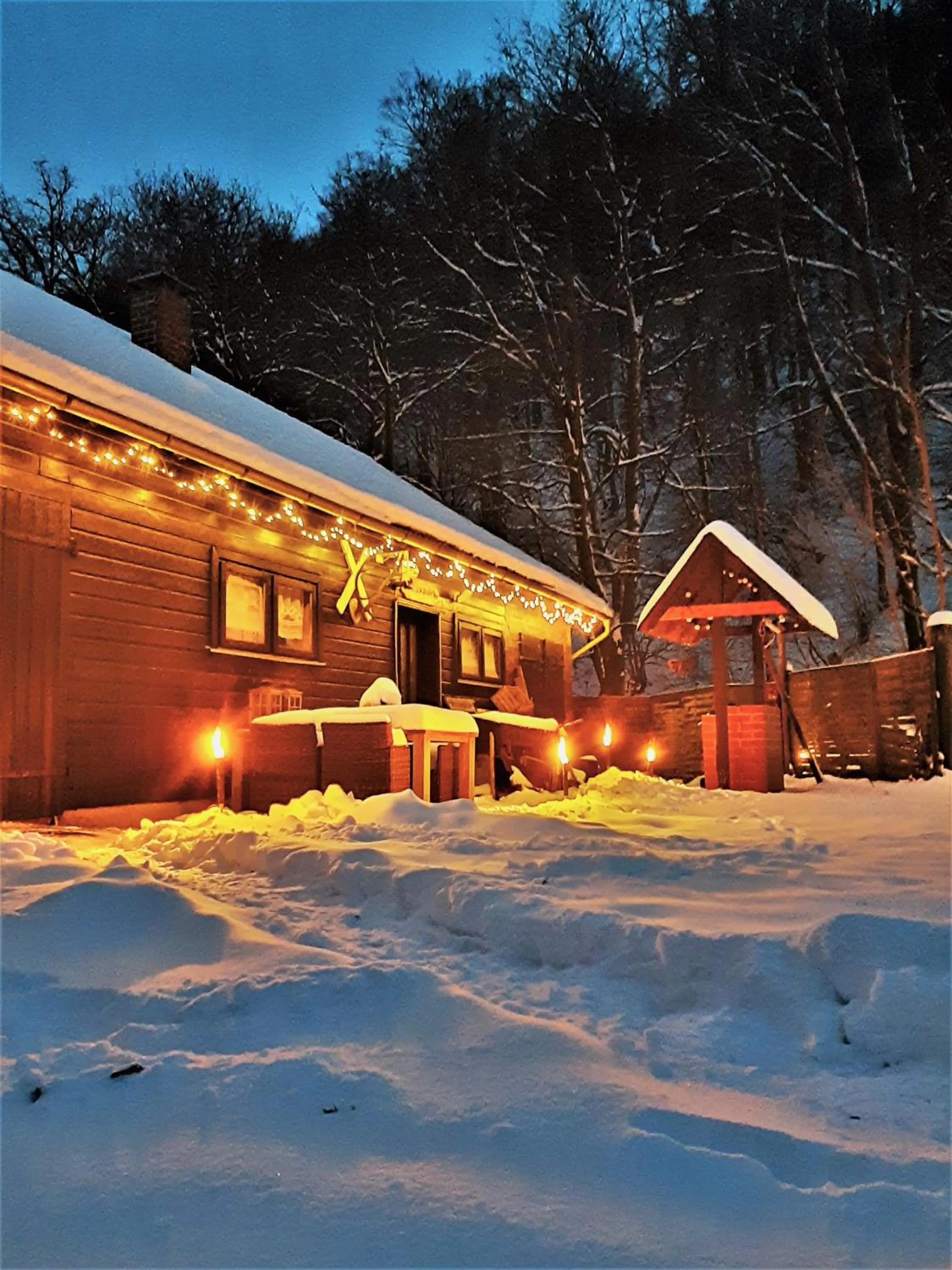 Activities in Harz hotel Iris