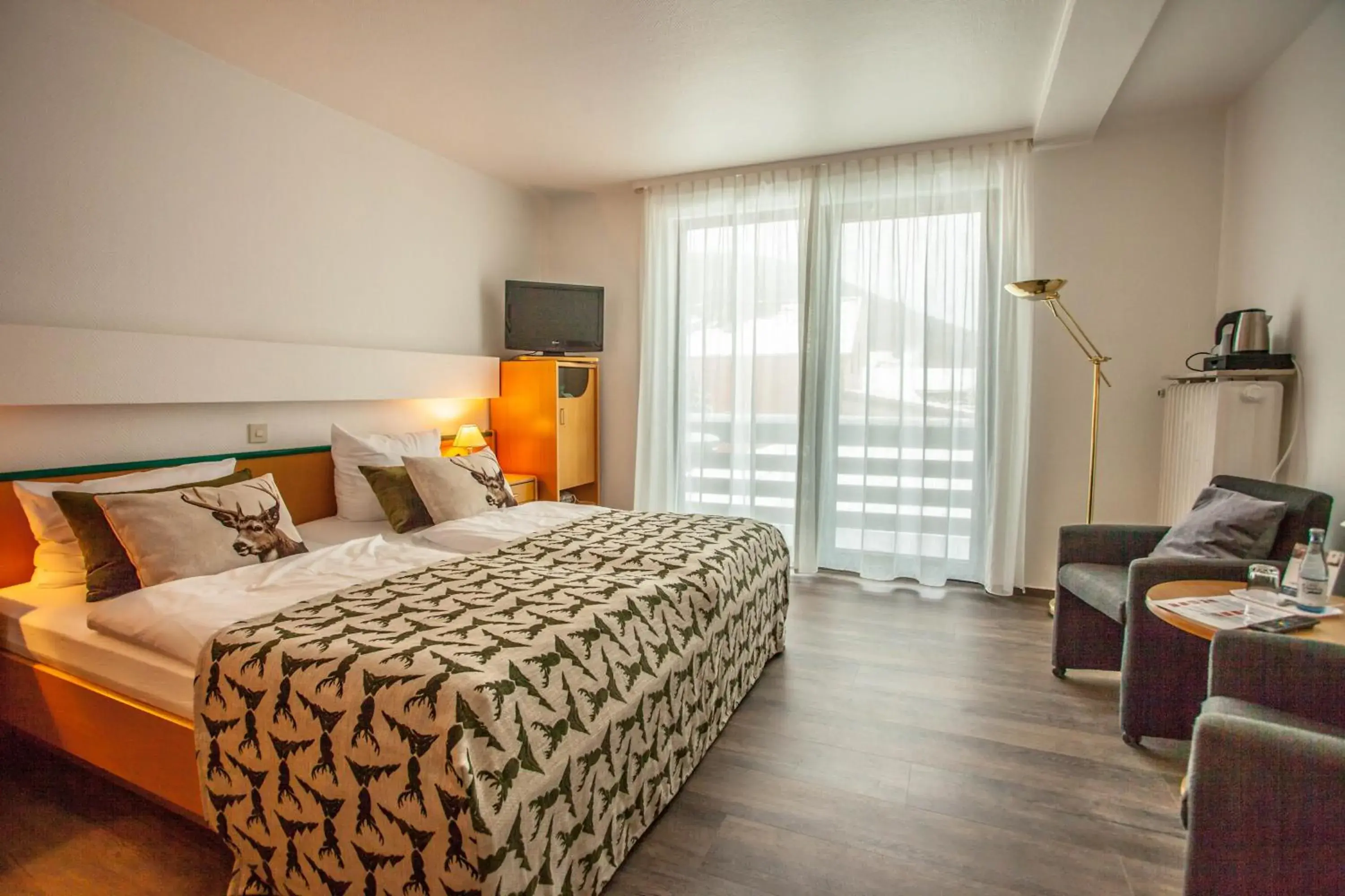 Double Room in Harz hotel Iris Double Room in Harz hotel Iris